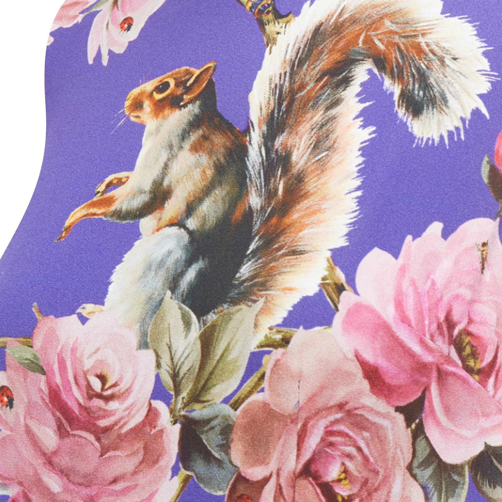 Women's Dolce Gabbana squirrel garden floral print cocktail dress - Image 2