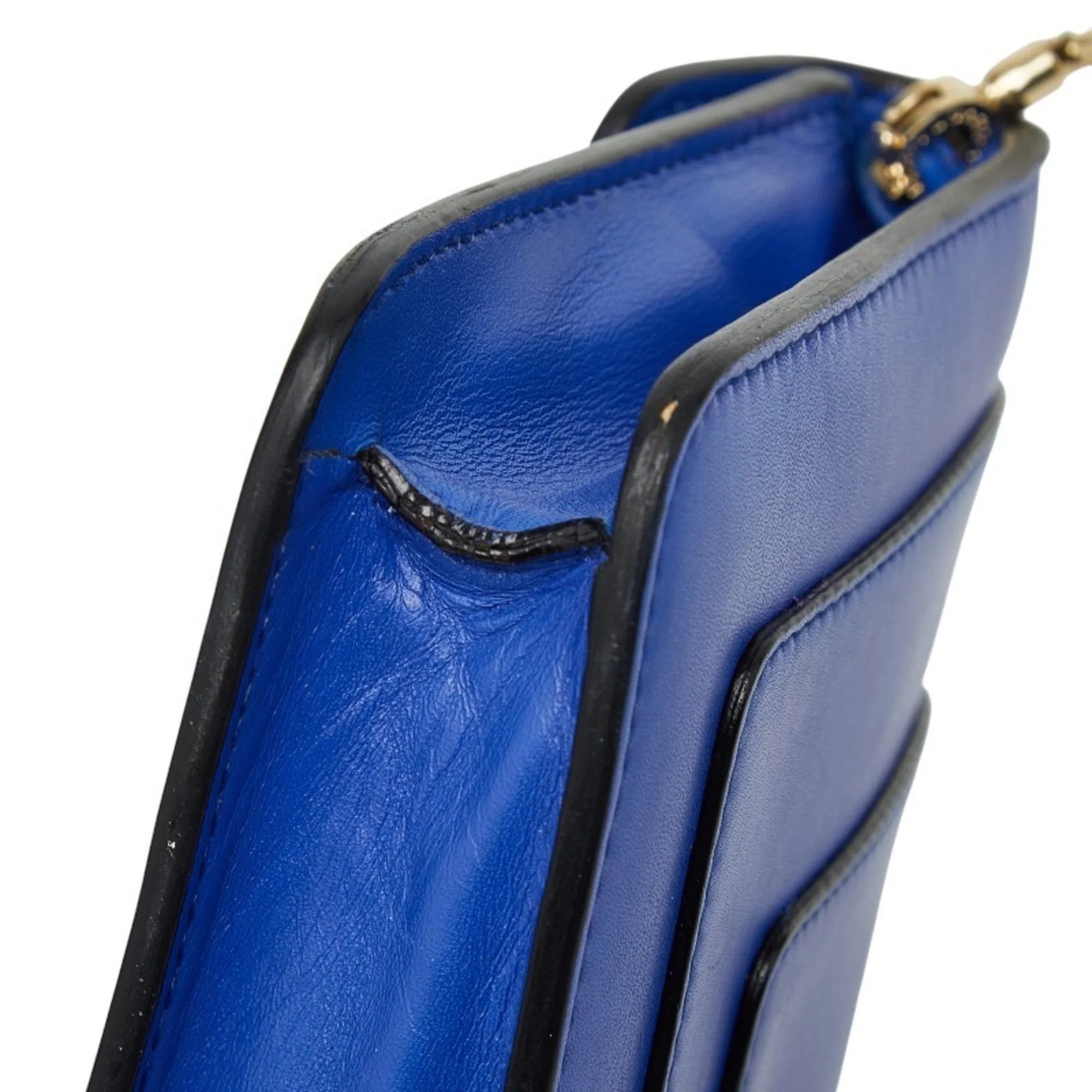 Serpenti Forever Chain Clutch Leather - Image 4