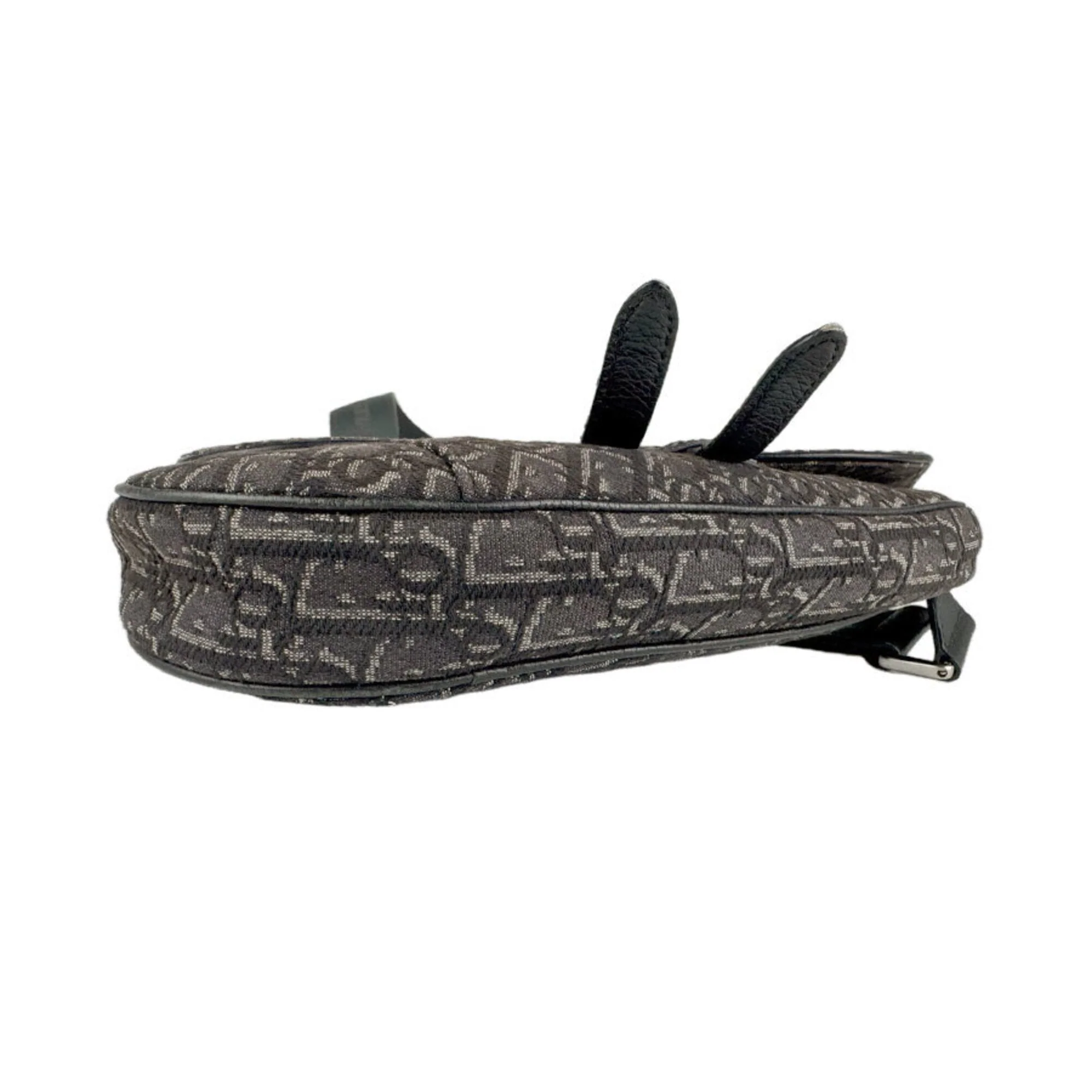 Saddle Crossbody Bag Oblique Canvas - Image 4