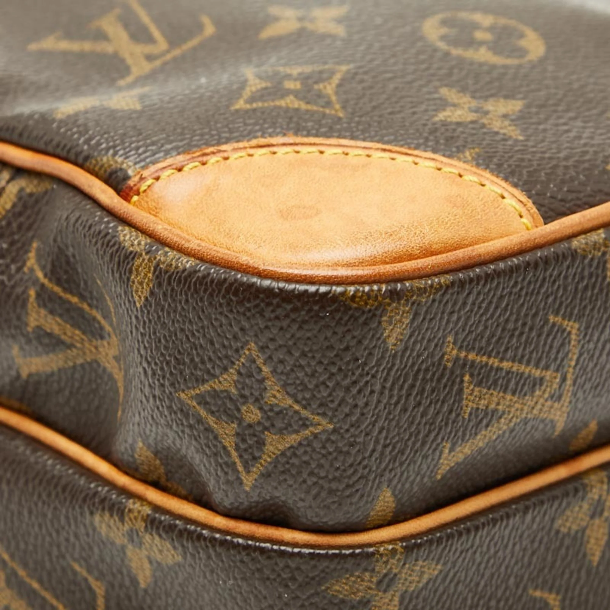 Amazone Bag Monogram Canvas - Image 8