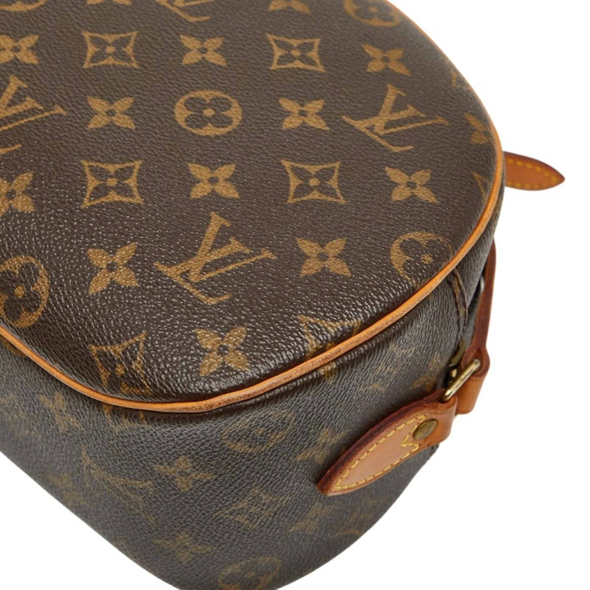 Blois Handbag Monogram Canvas - Image 6