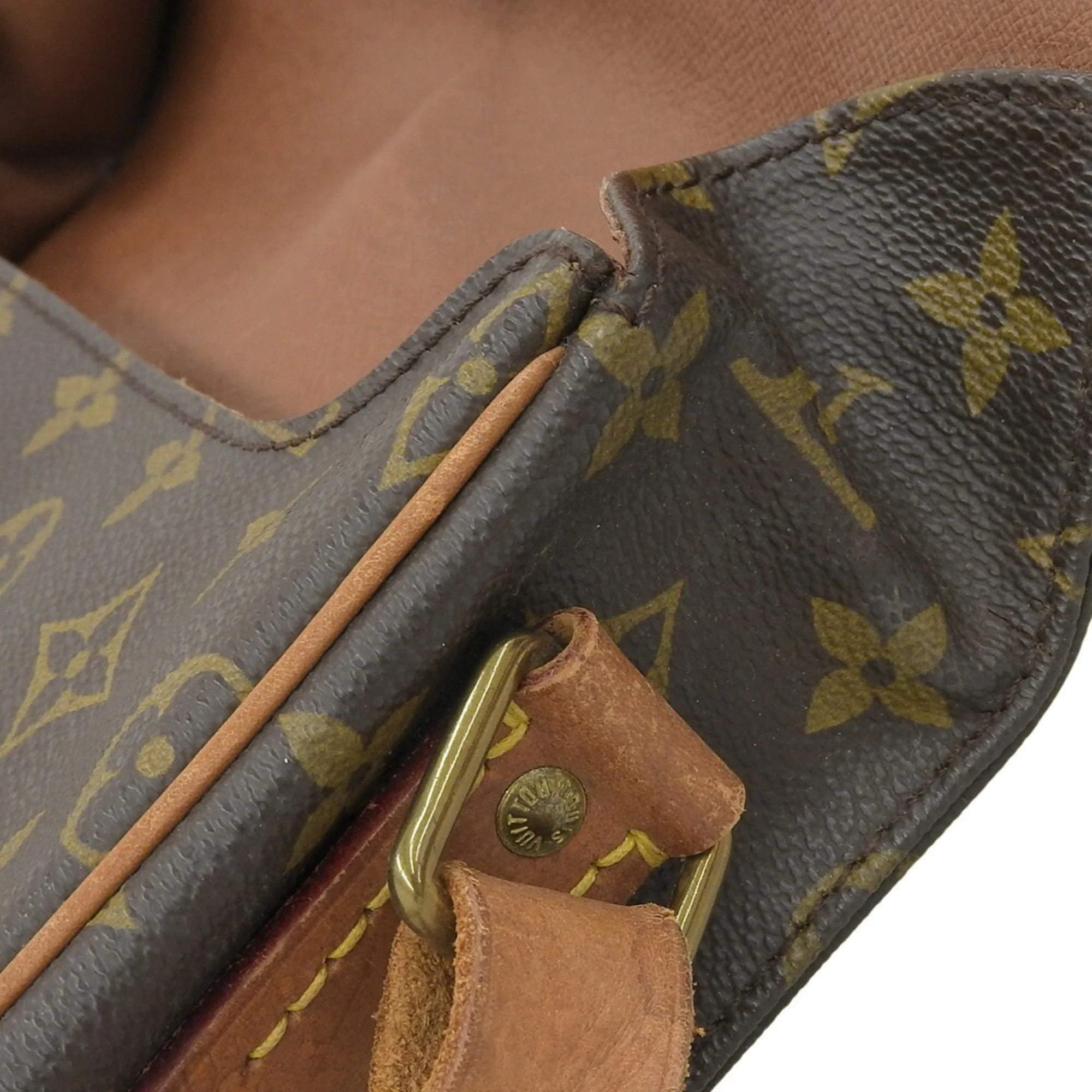 Cartouchiere Handbag Monogram Canvas GM - Image 7