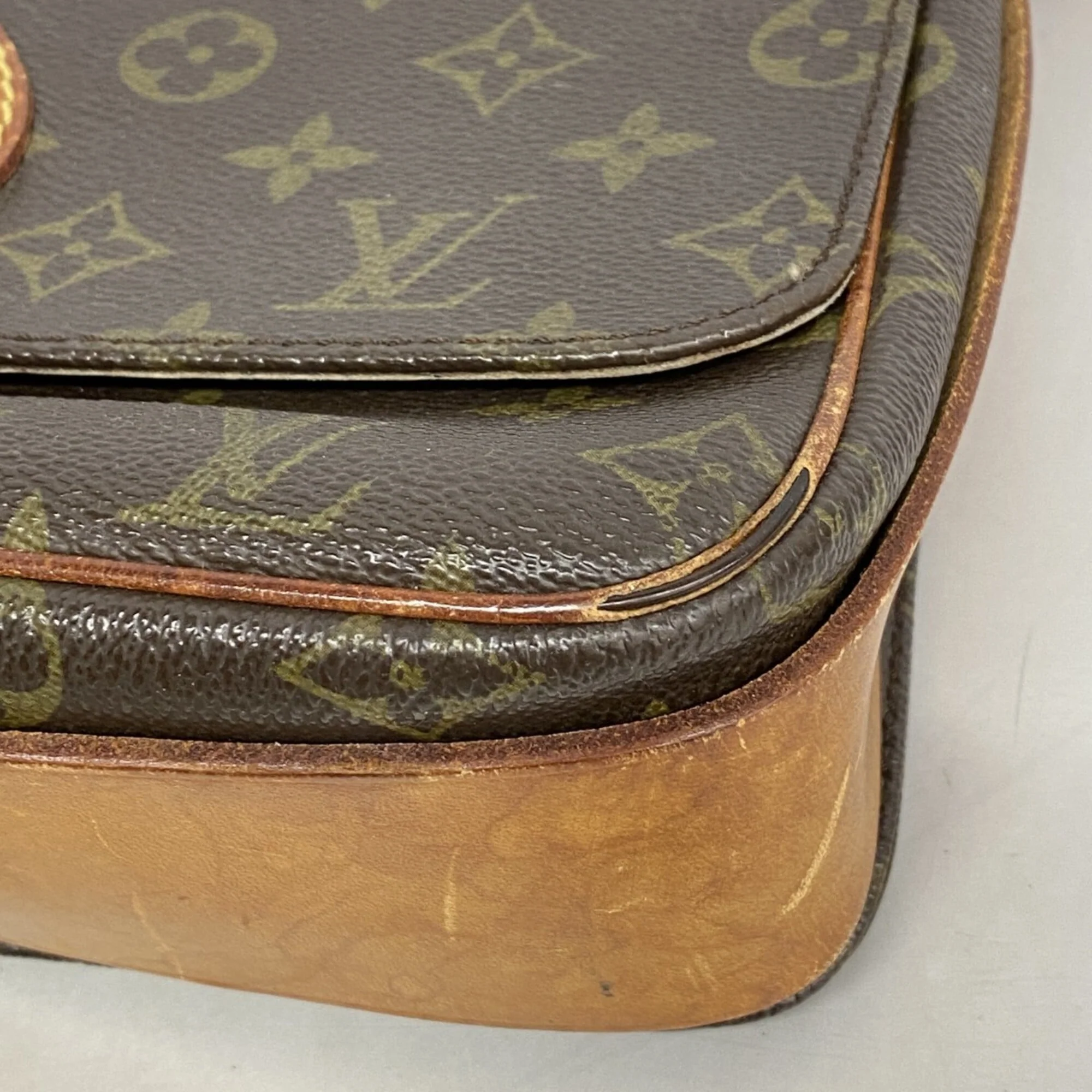 Cartouchiere Handbag Monogram Canvas GM - Image 6