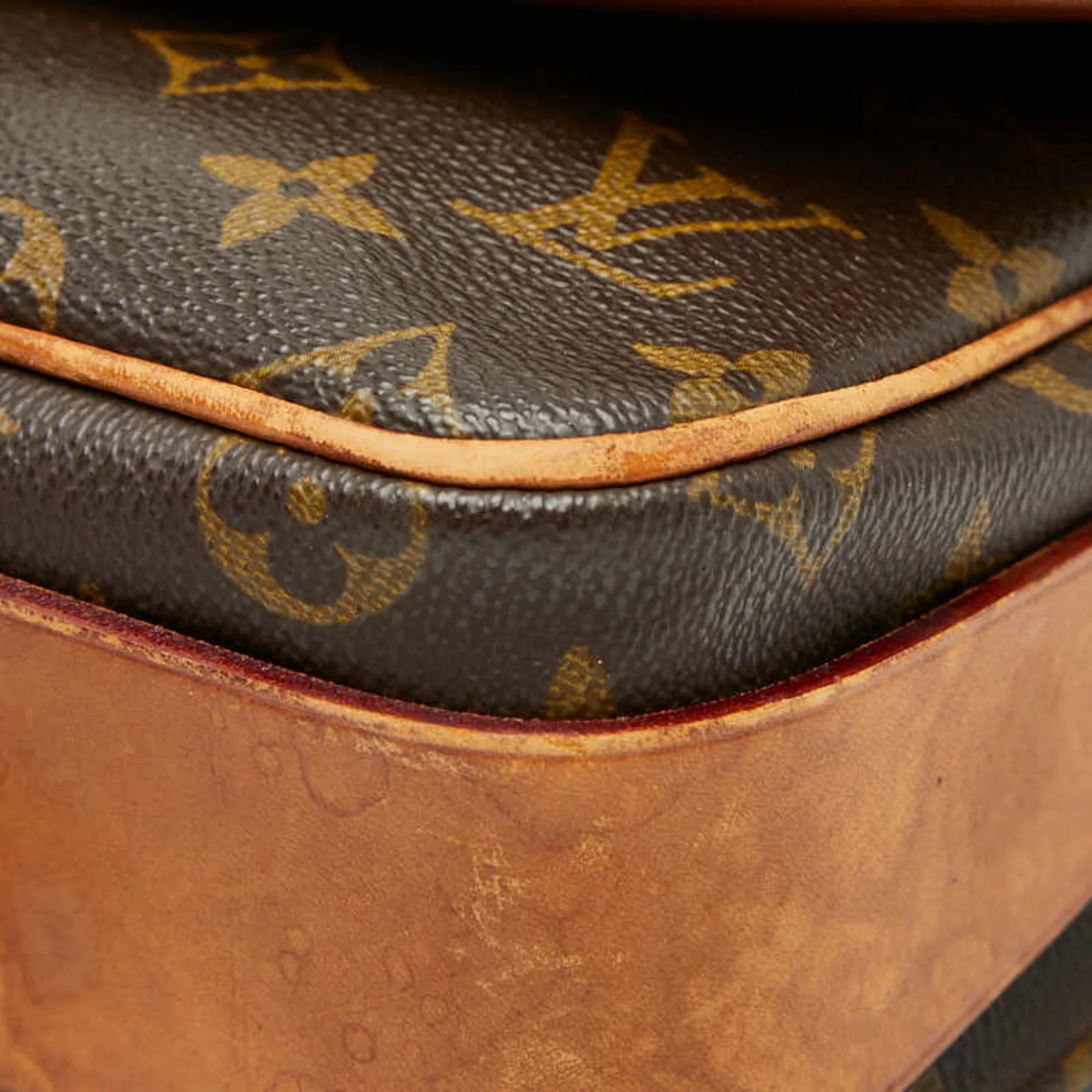 Cartouchiere Handbag Monogram Canvas MM - Image 5