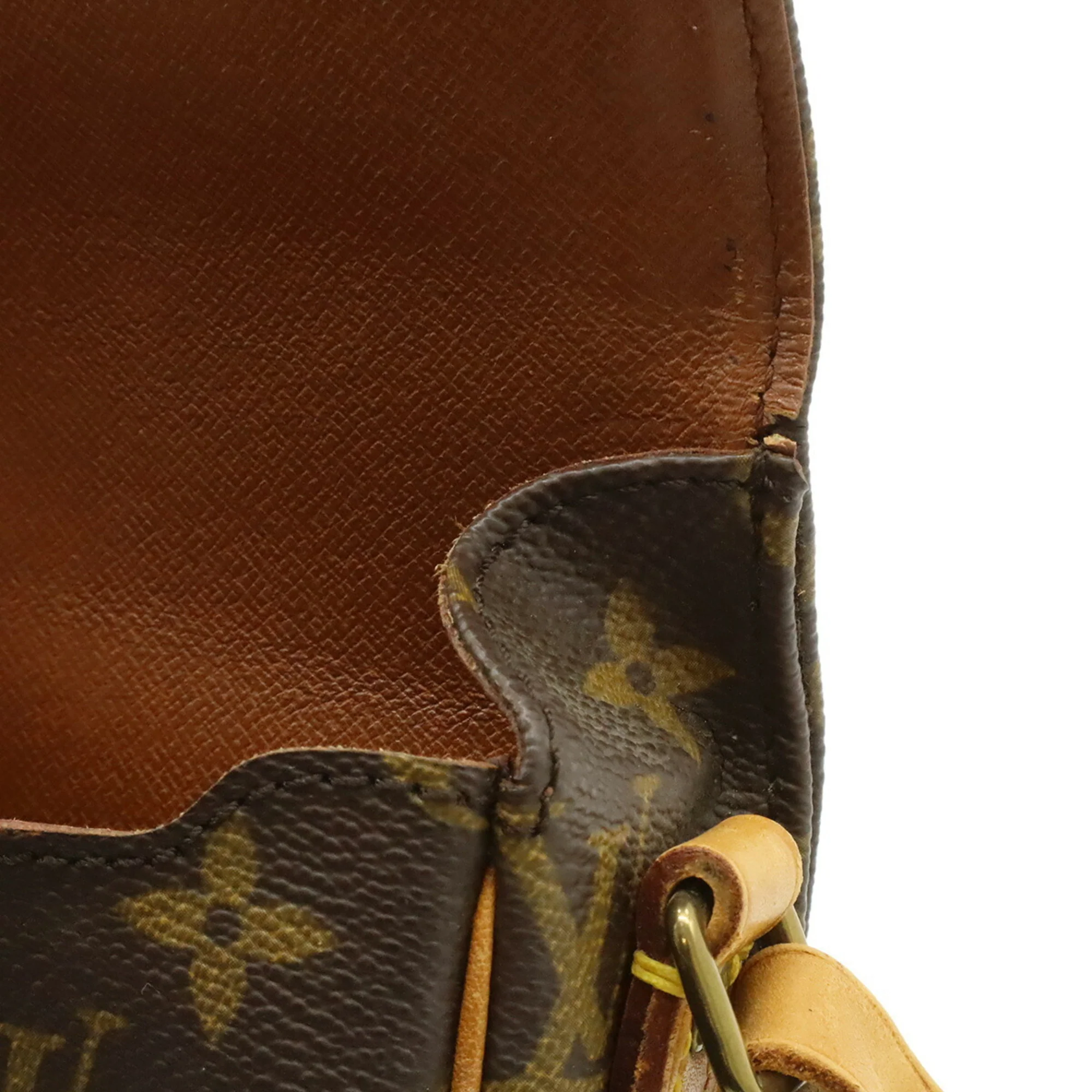 Cartouchiere Handbag Monogram Canvas PM - Image 8
