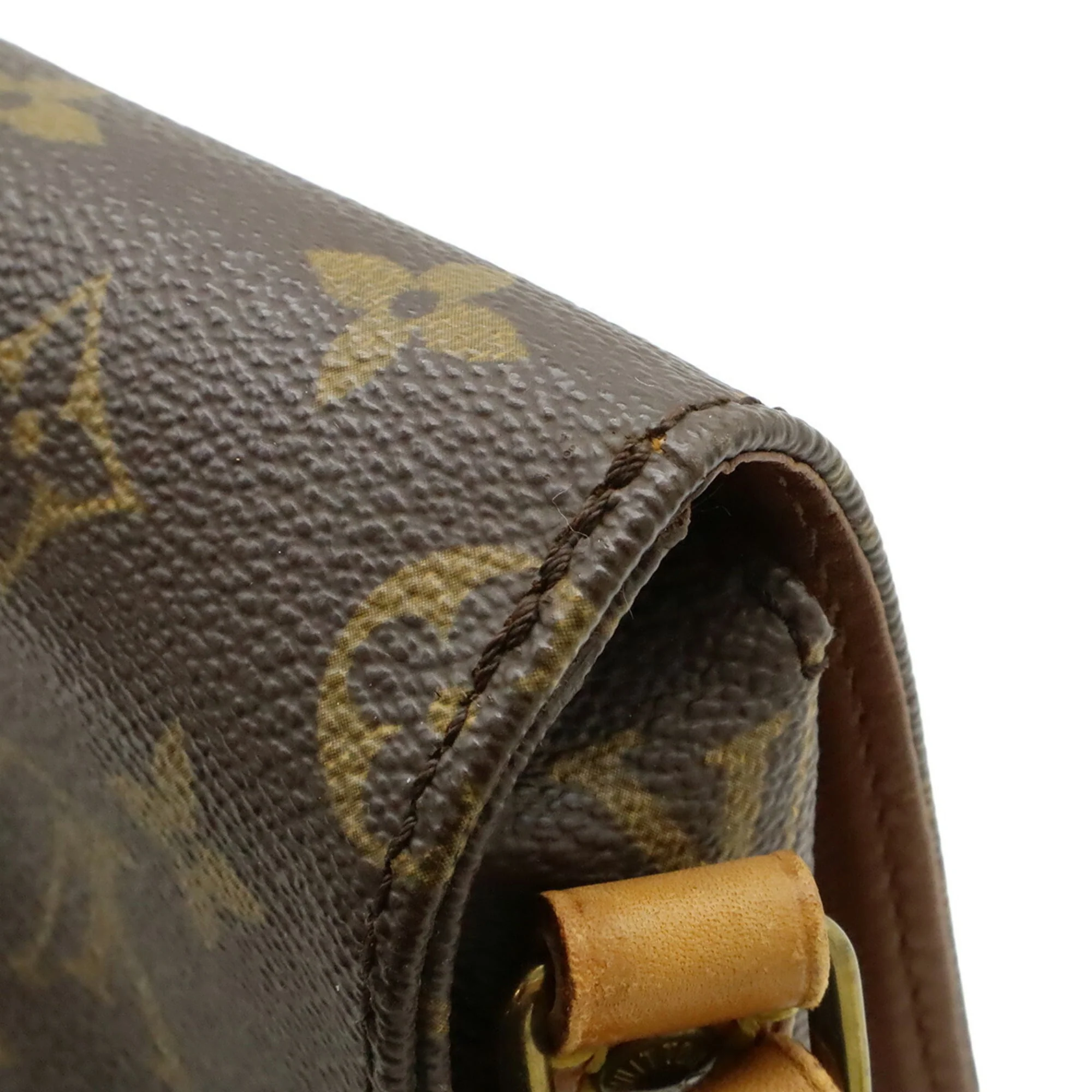 Cartouchiere Handbag Monogram Canvas PM - Image 9