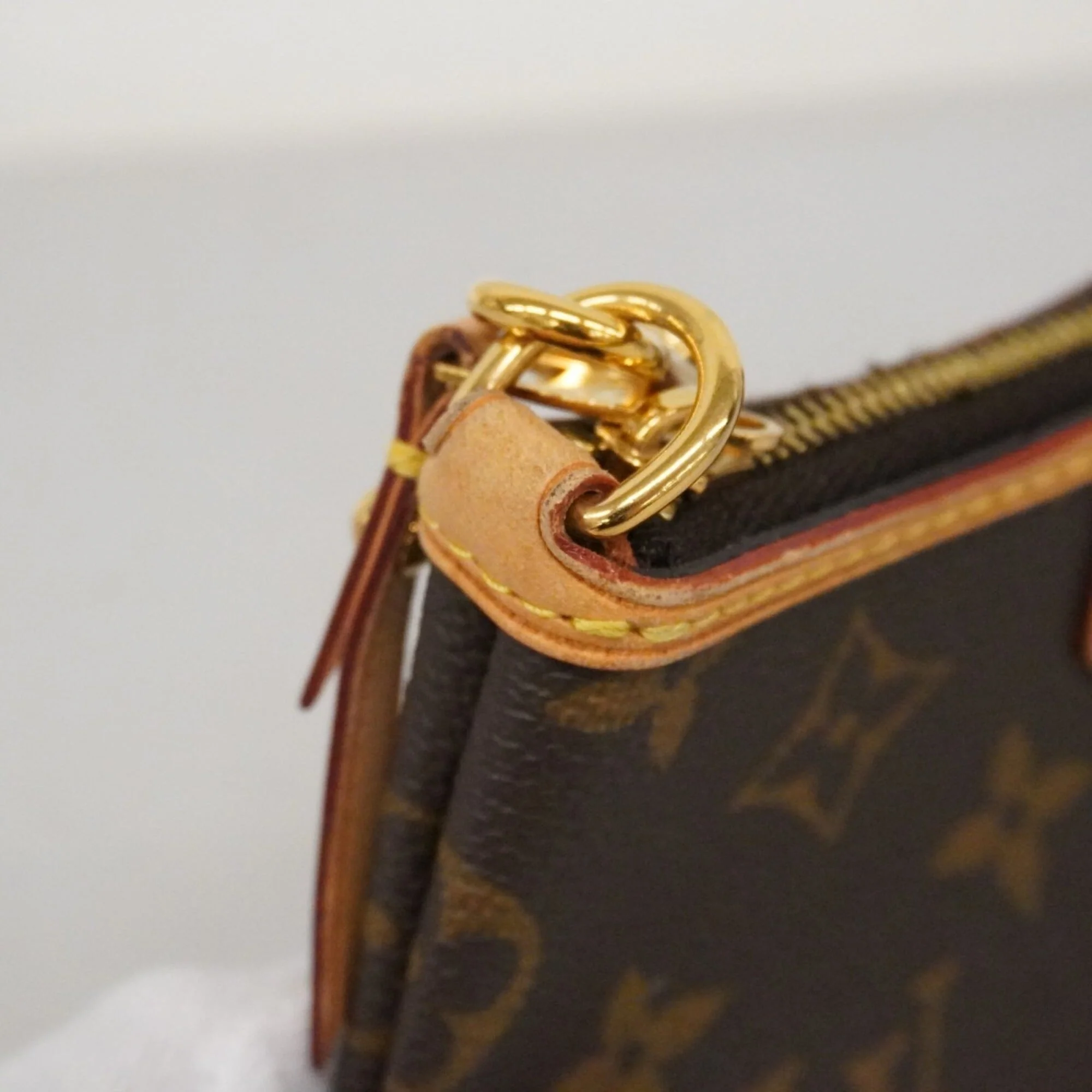 Delightful Pochette Monogram Canvas Mini - Image 7