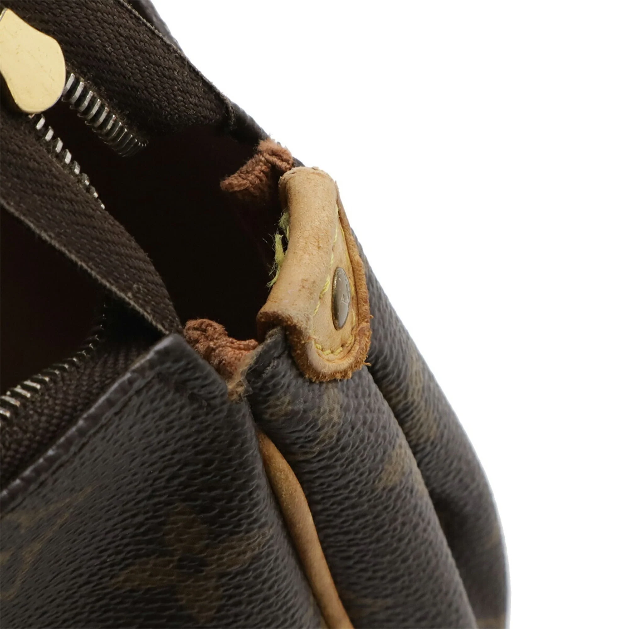 Eva Handbag Monogram Canvas - Image 7