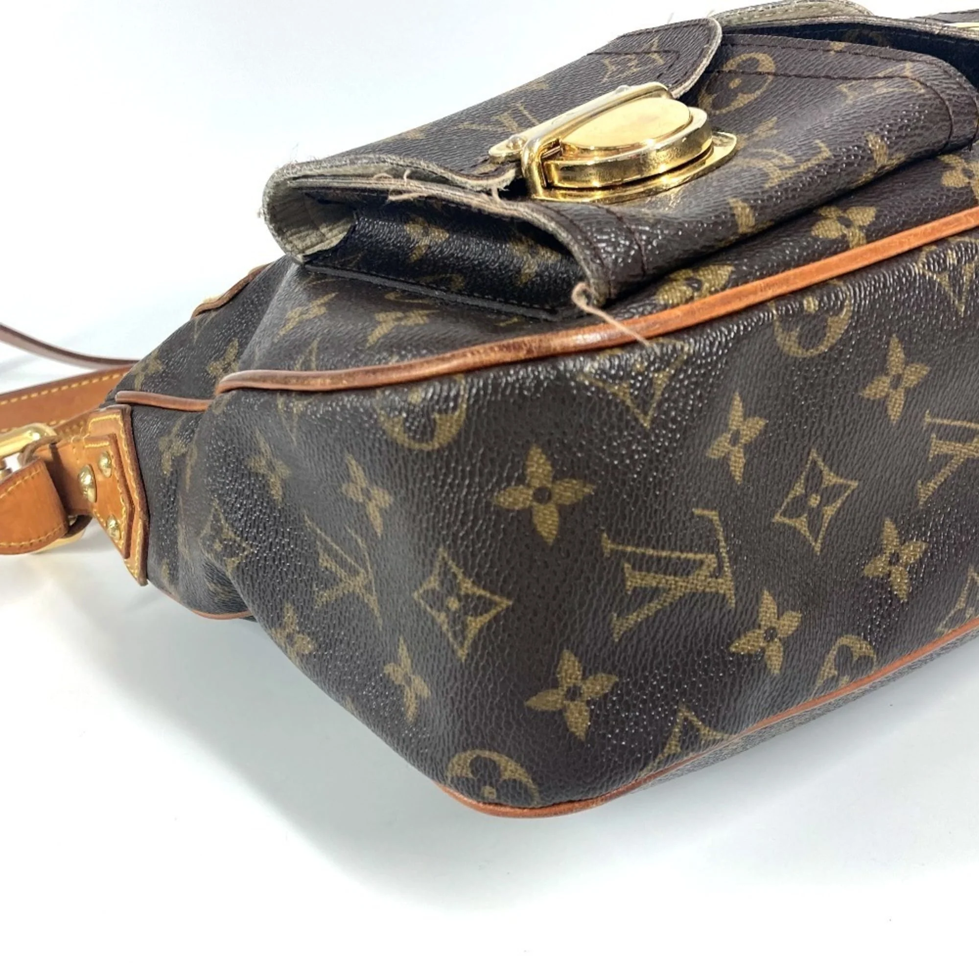 Hudson Handbag Monogram Canvas GM - Image 7
