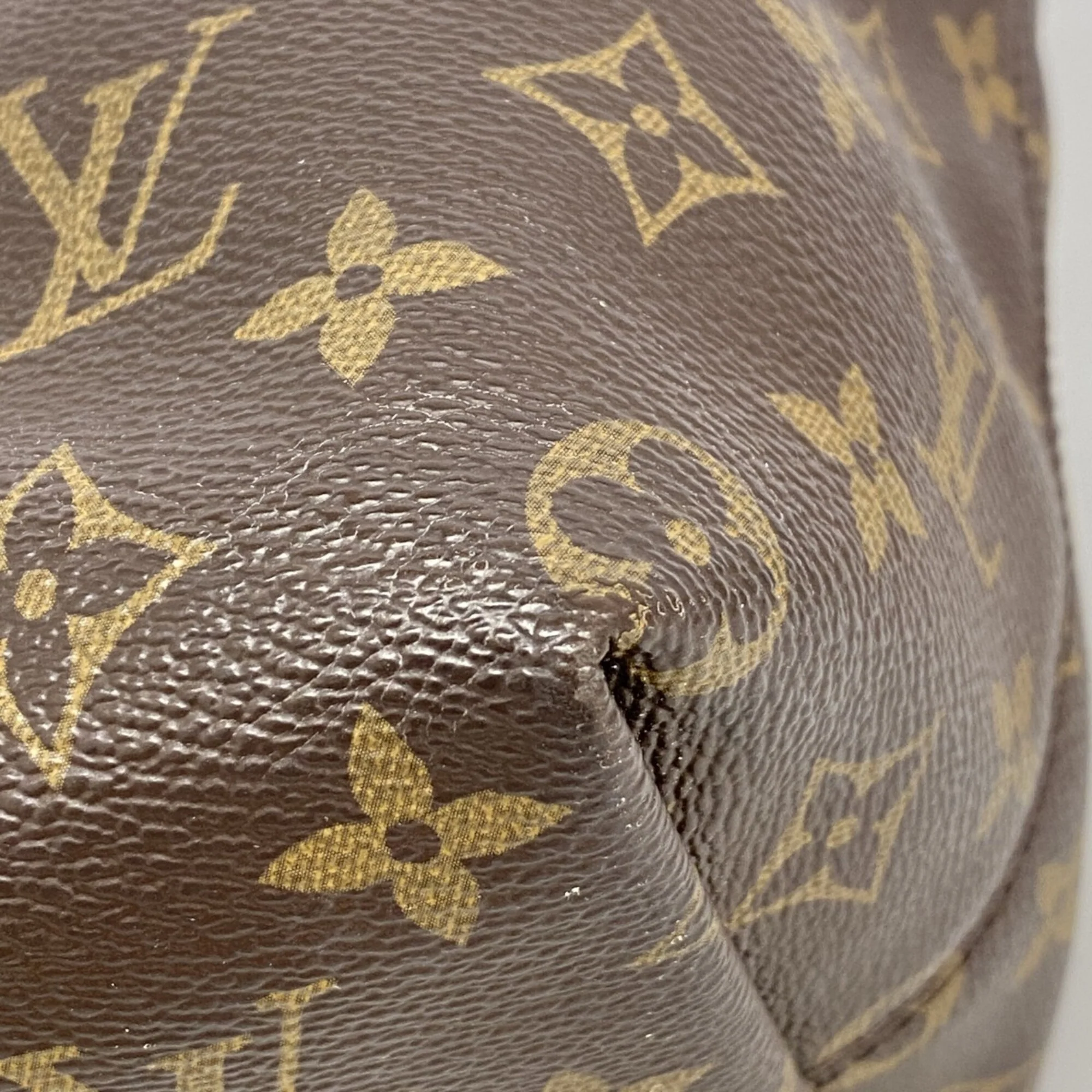 Iena Tote Monogram Canvas MM - Image 8