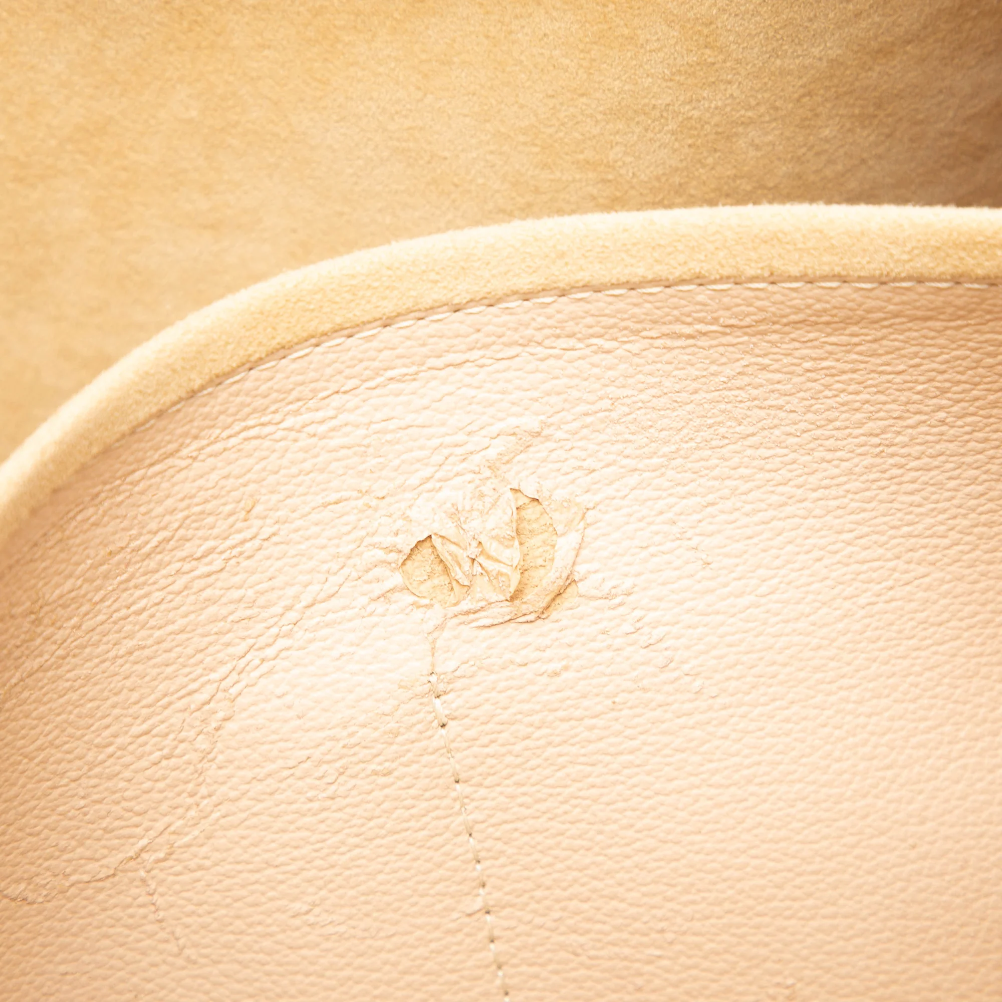 Luco Handbag Monogram Canvas - Image 7