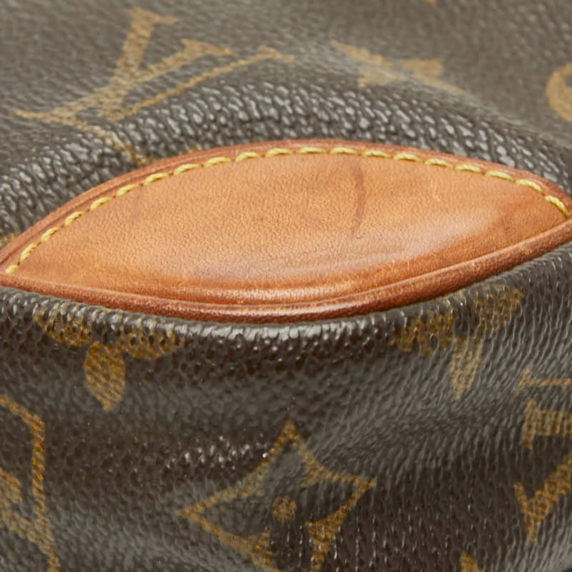 Marly Dragonne Clutch Monogram Canvas GM - Image 4