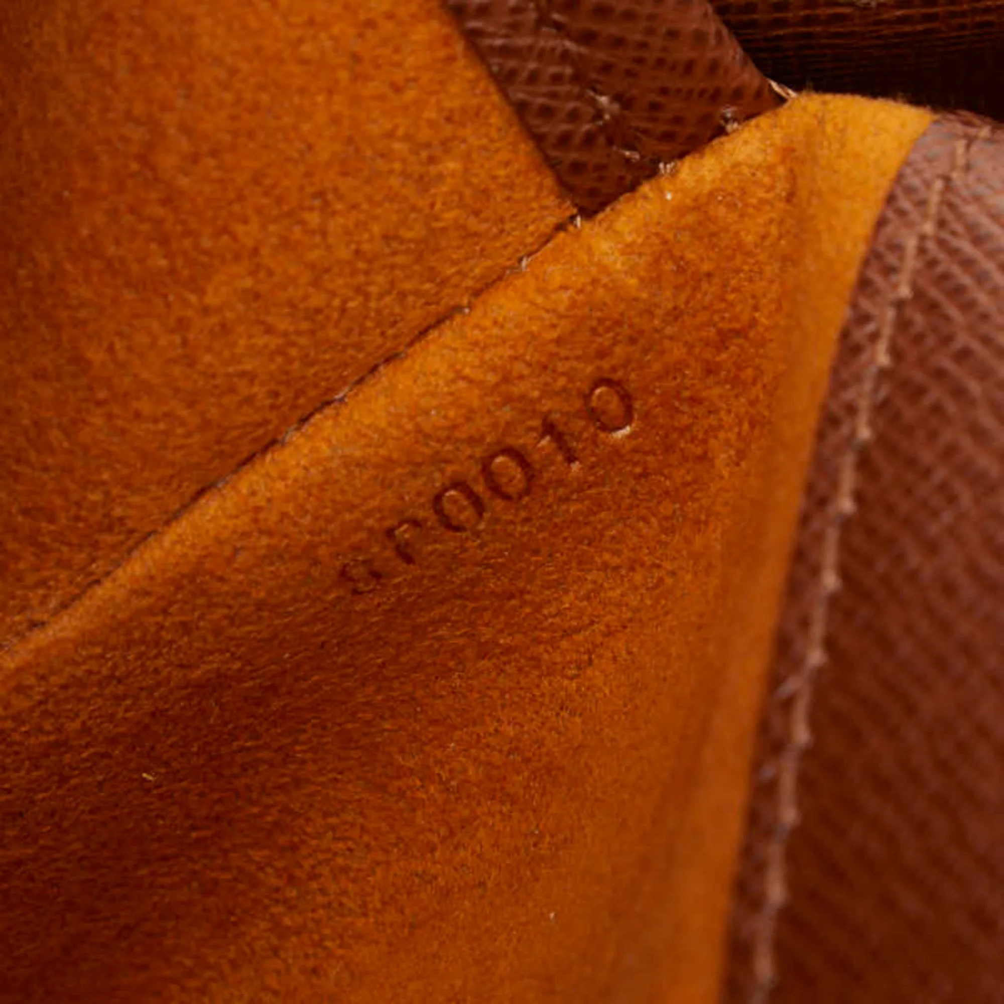 Musette Tango Handbag Monogram Canvas - Image 9