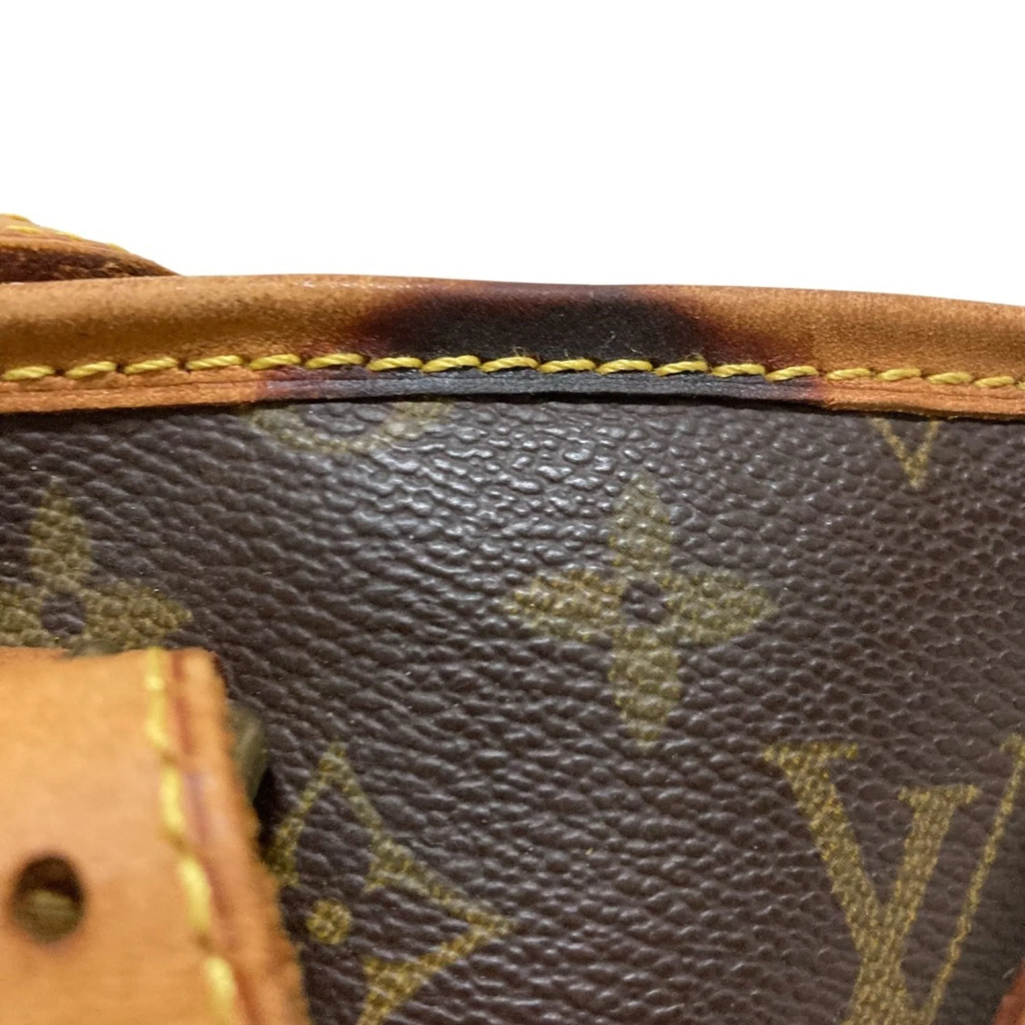 Petit Bucket Bag Monogram Canvas - Image 6