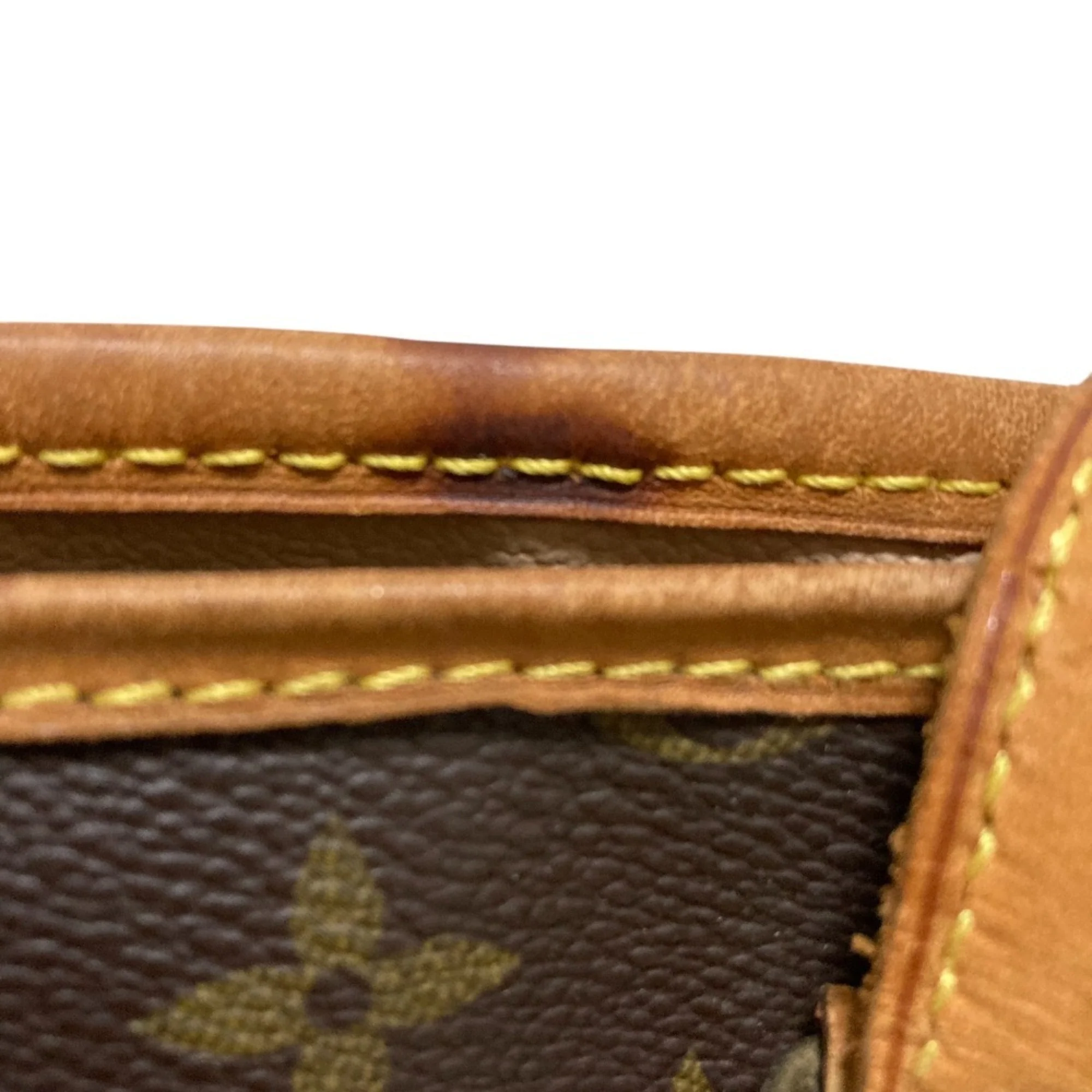 Petit Bucket Bag Monogram Canvas - Image 7