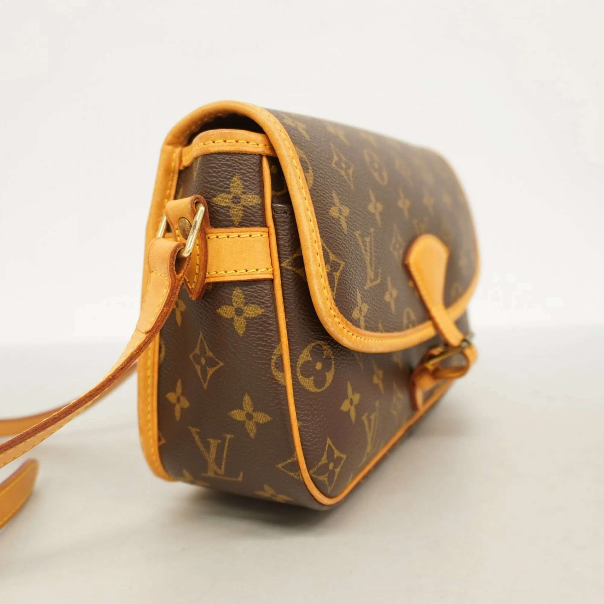 Sologne Handbag Monogram Canvas - Image 2