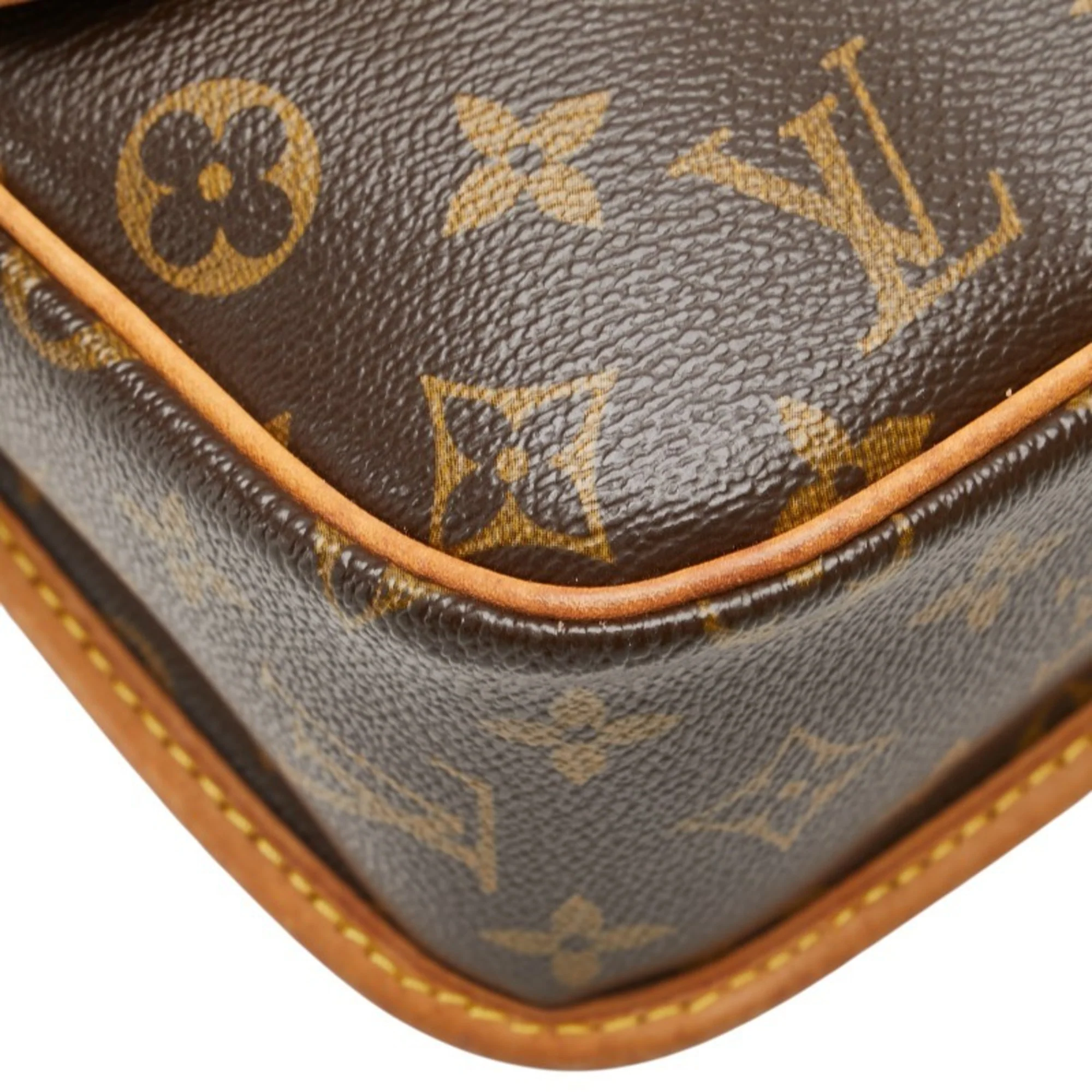 Sologne Handbag Monogram Canvas - Image 6