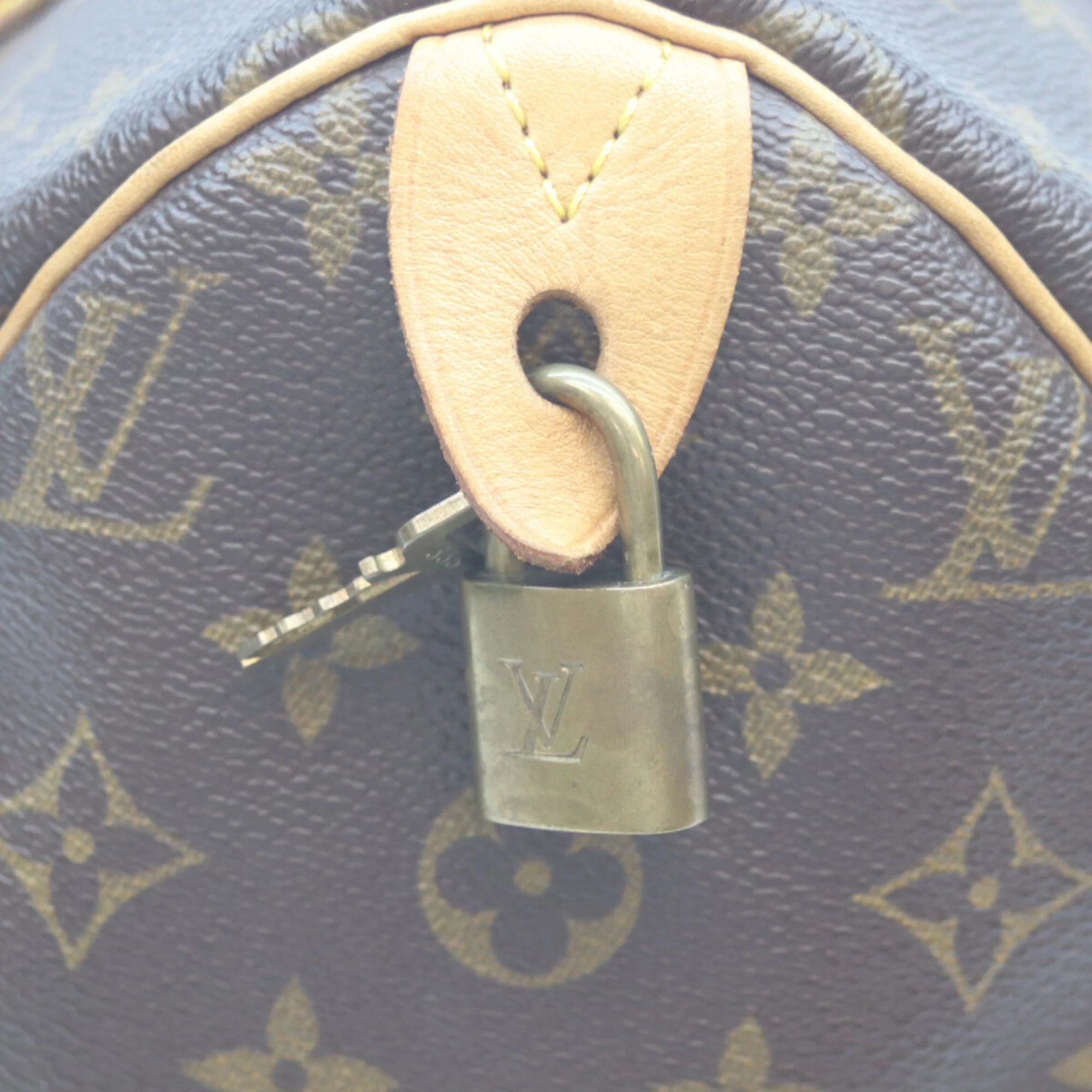 Speedy Handbag Monogram Canvas 30 - Image 9