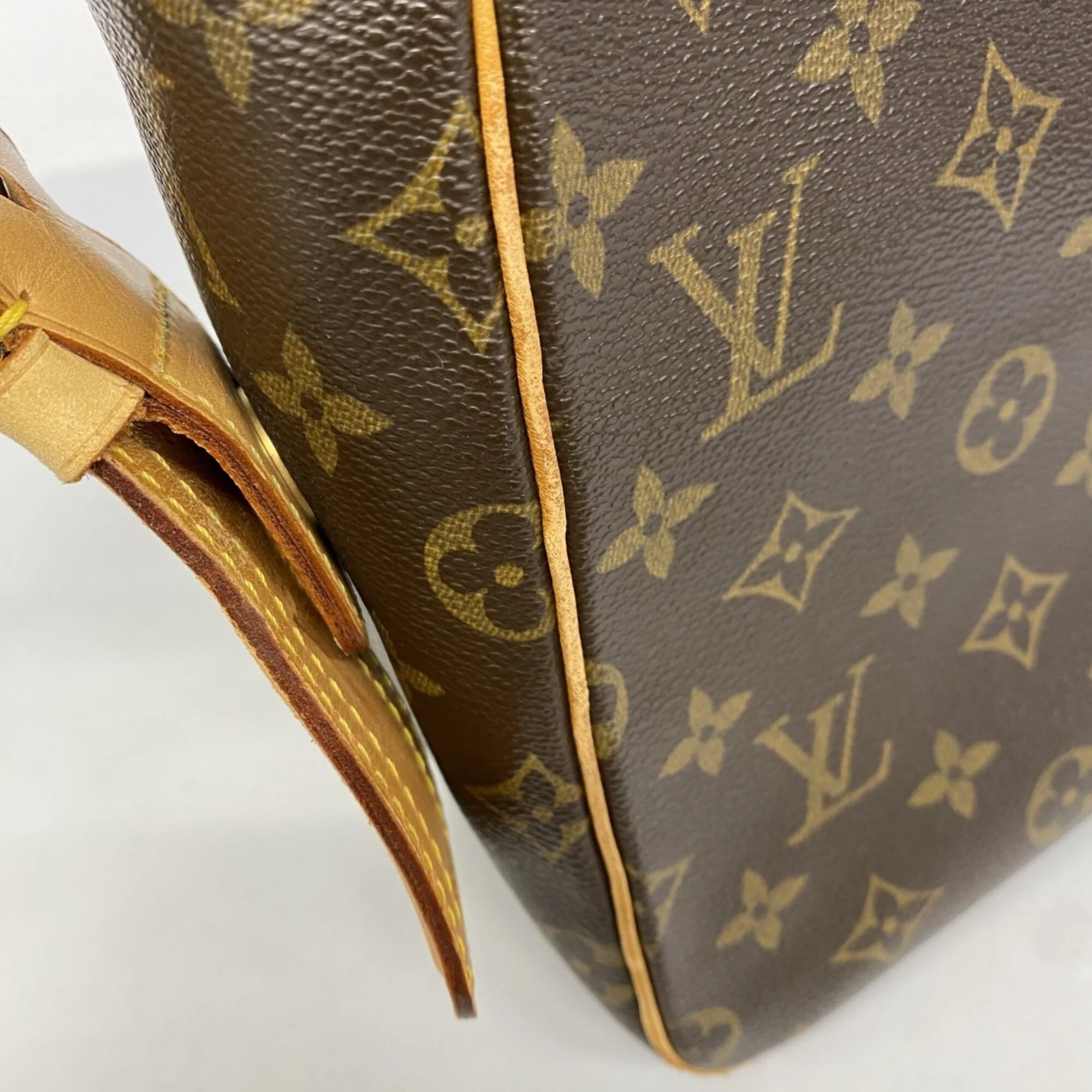 Viva Cite Handbag Monogram Canvas GM - Image 9