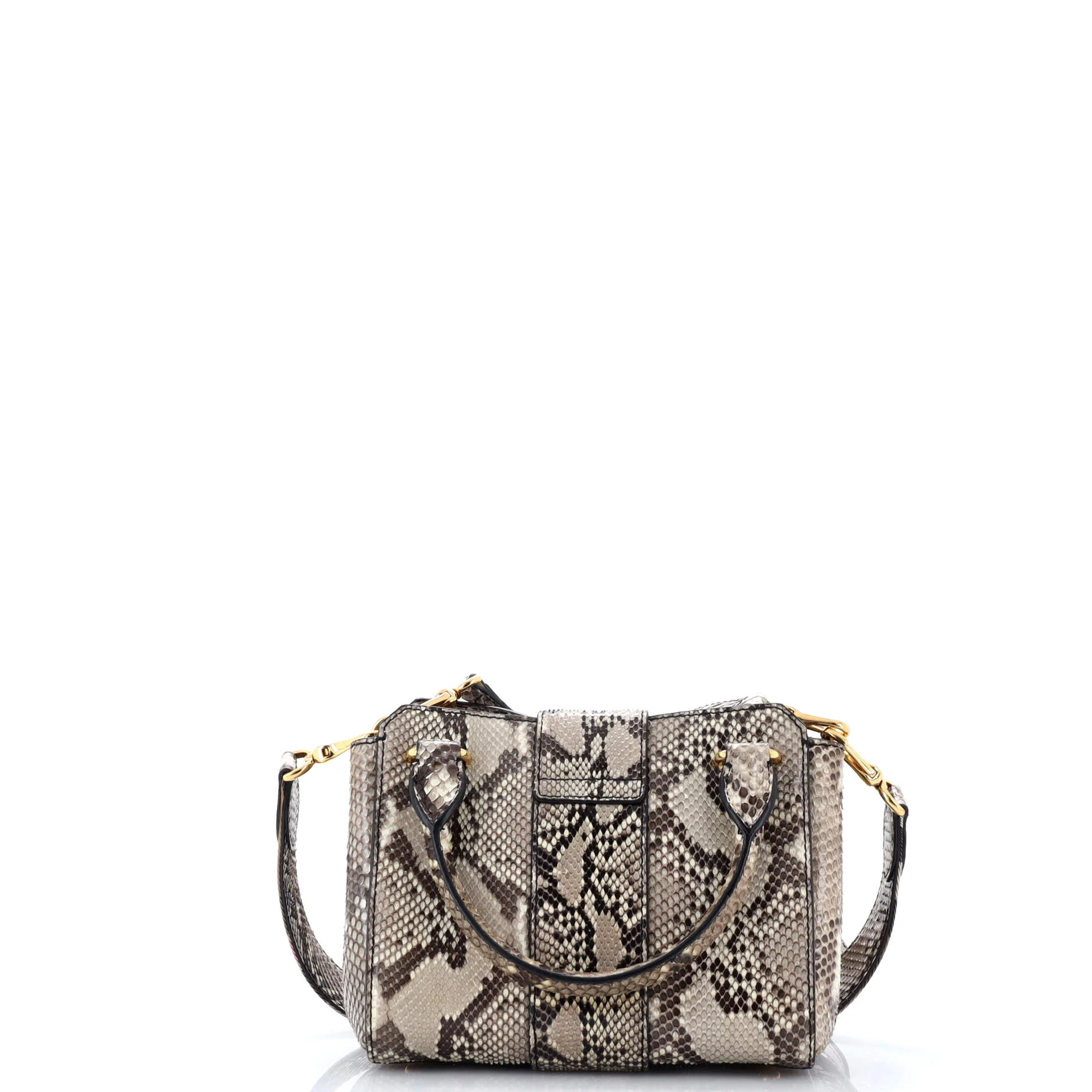 Buckle Tote Python Small - Image 3