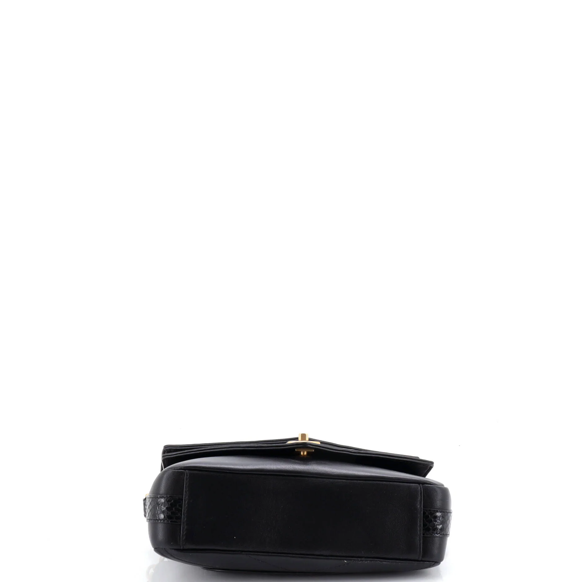 Elaphe Chain Double Flap Bag Chevron Calfskin with Snakeskin Mini - Image 4