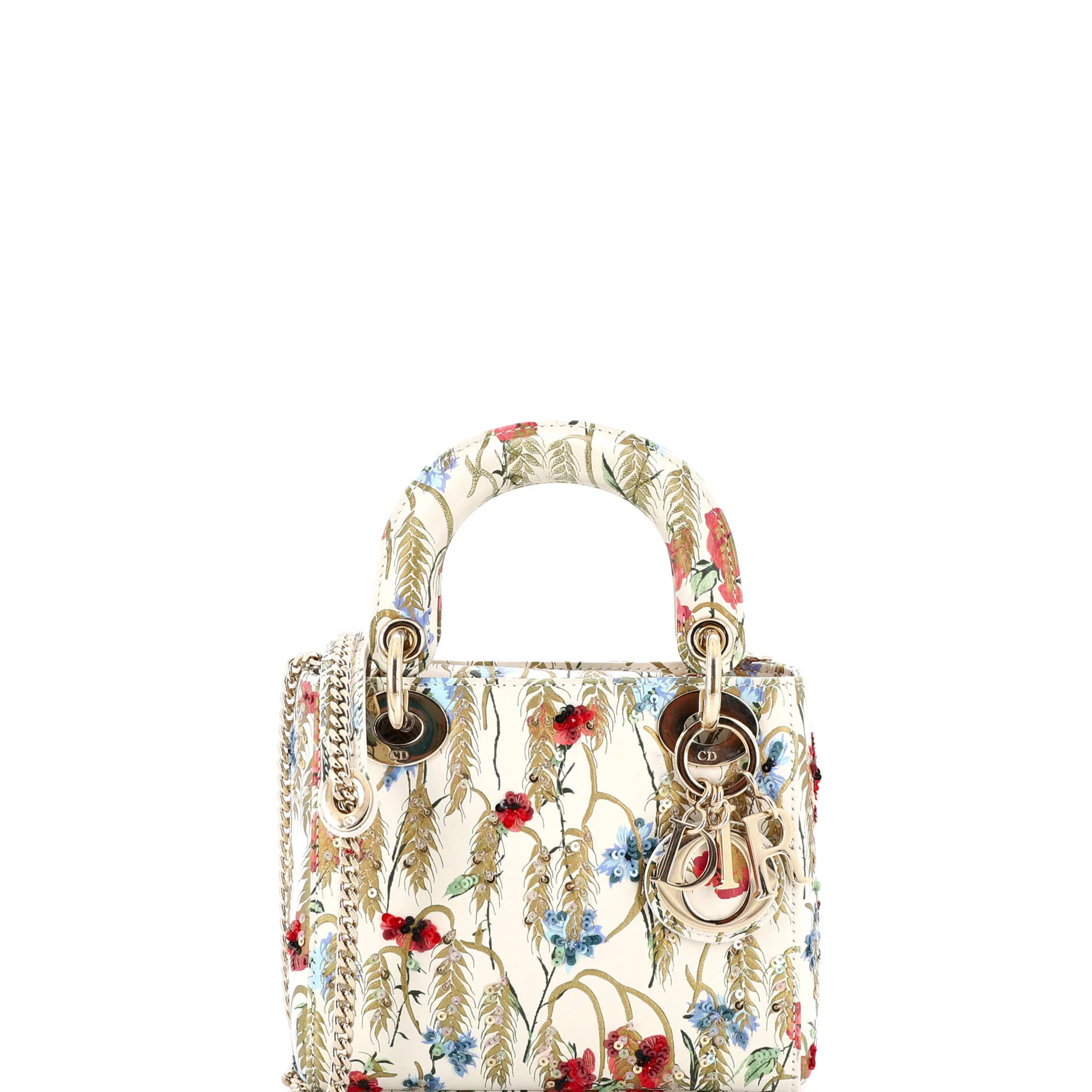 Lady Dior Chain Bag Embroidered Printed Calfskin Mini