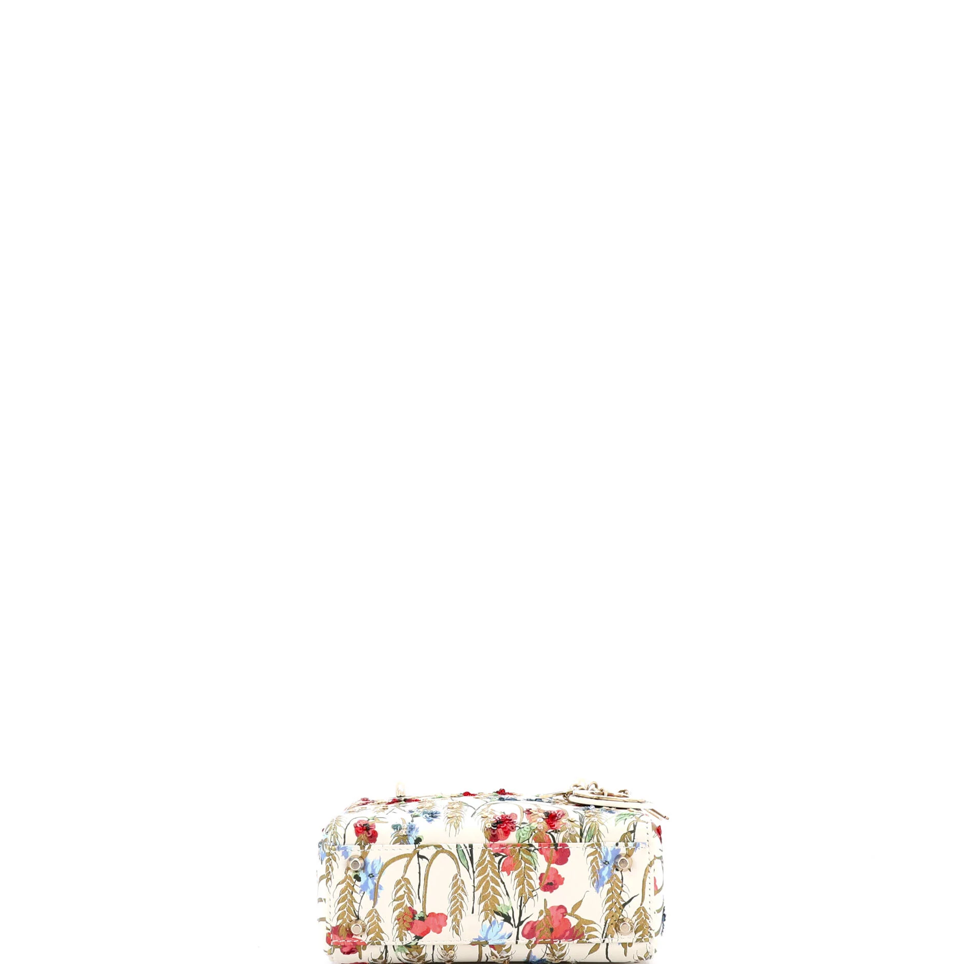 Lady Dior Chain Bag Embroidered Printed Calfskin Mini - Image 4