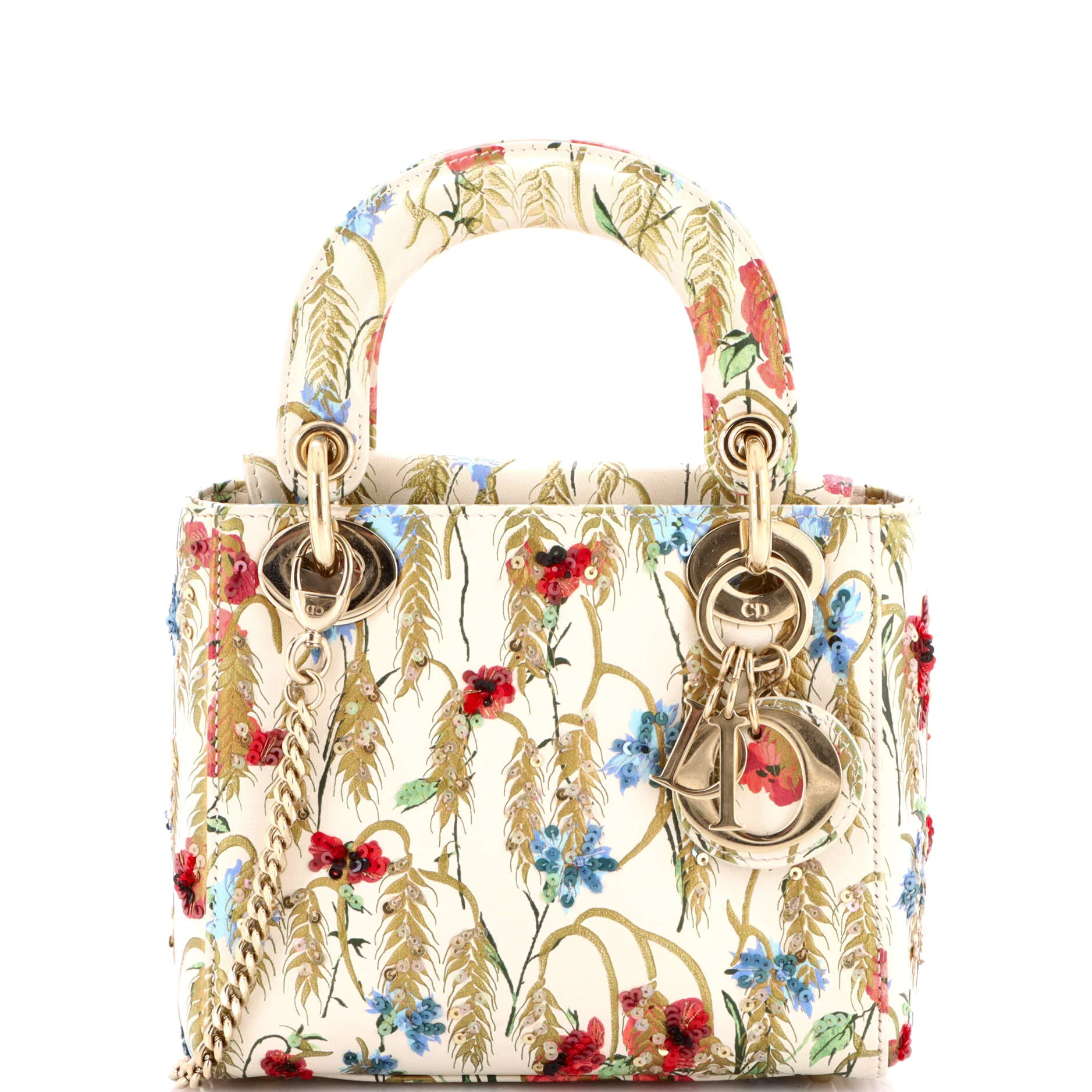 Lady Dior Chain Bag Embroidered Printed Calfskin Mini
