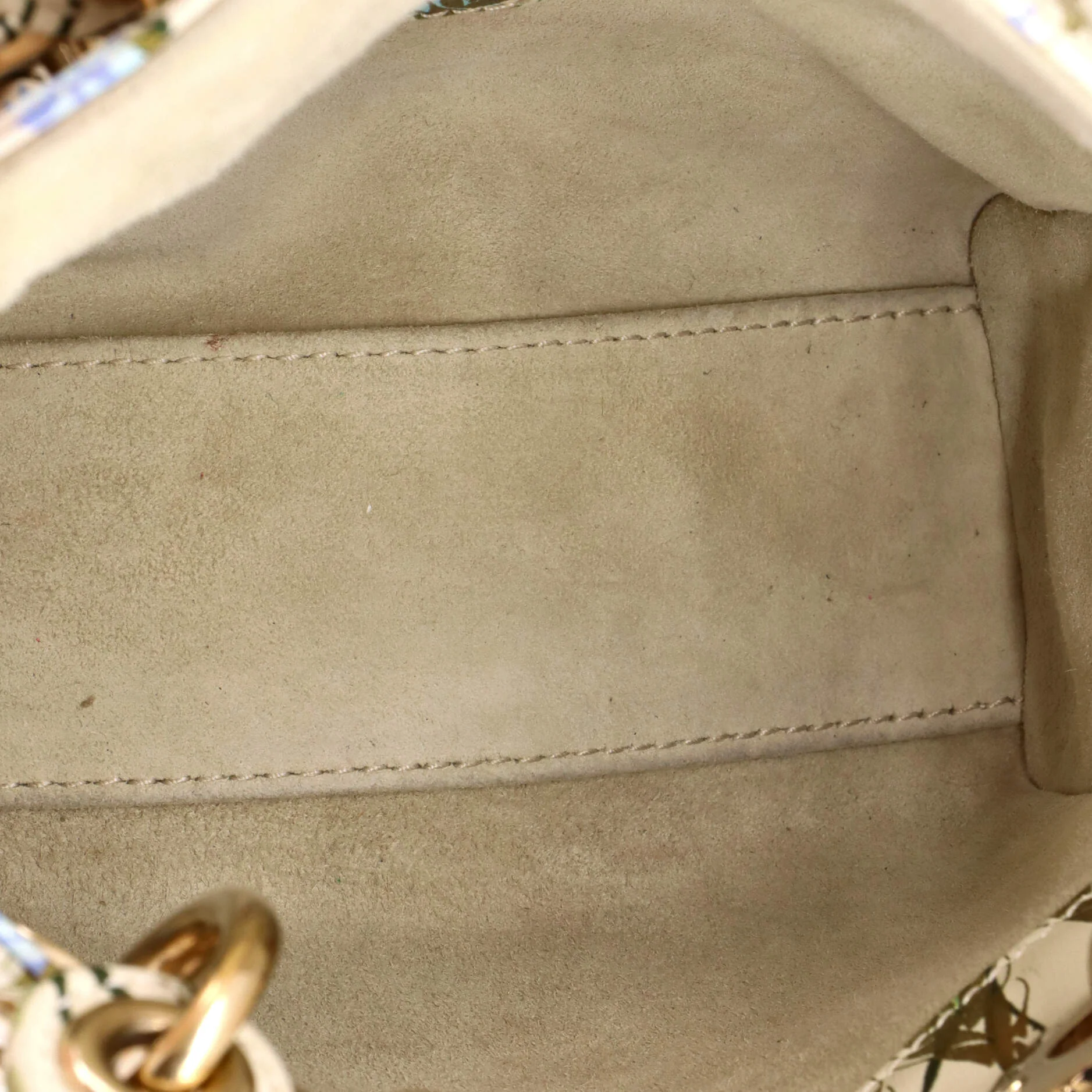 Lady Dior Chain Bag Embroidered Printed Calfskin Mini - Image 5