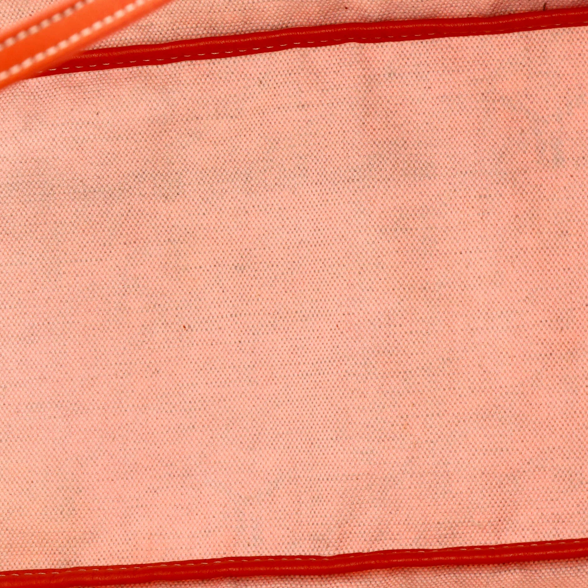 Saint Louis Tote Coated Canvas PM - Image 6