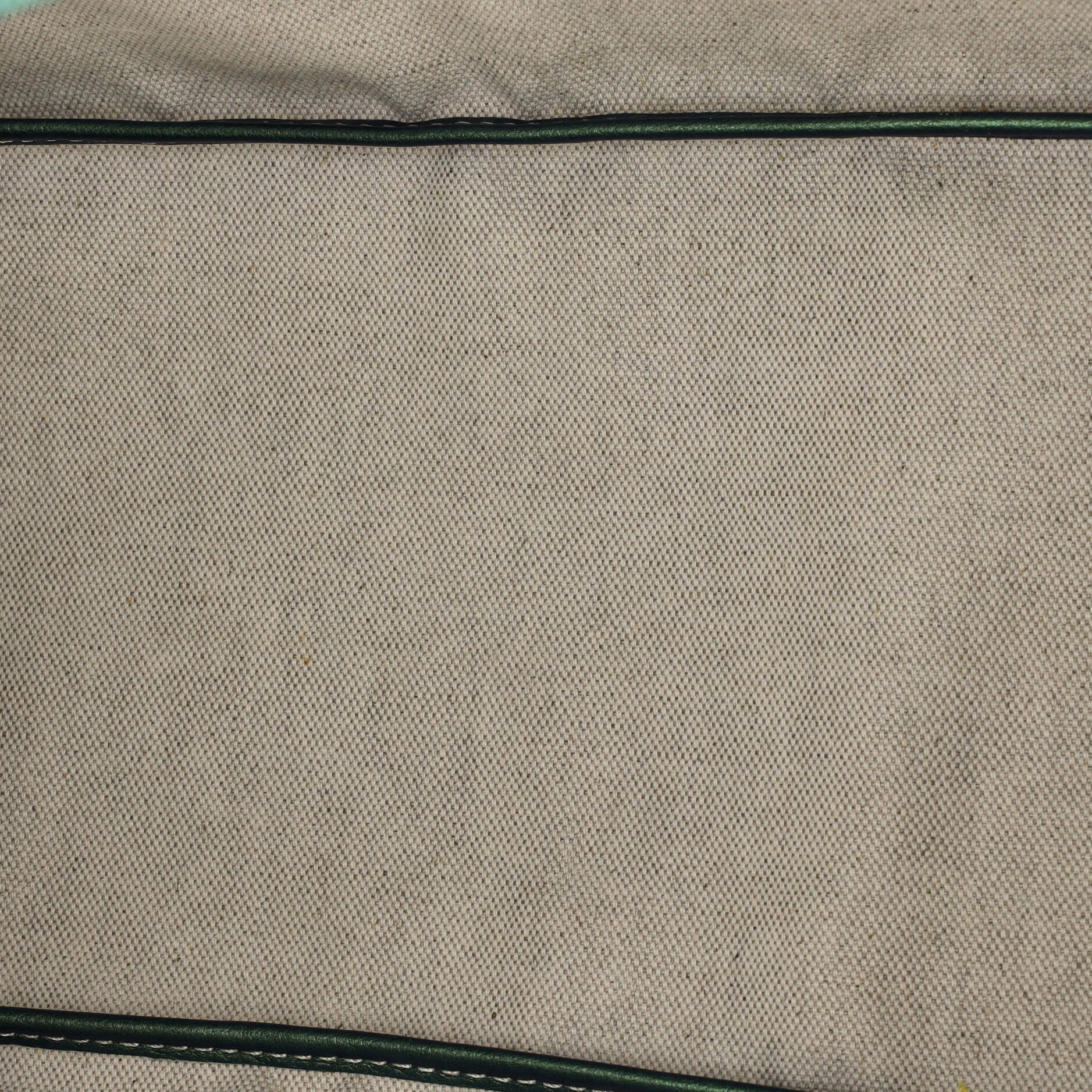 Saint Louis Tote Iridescent Coated Canvas PM - Image 6