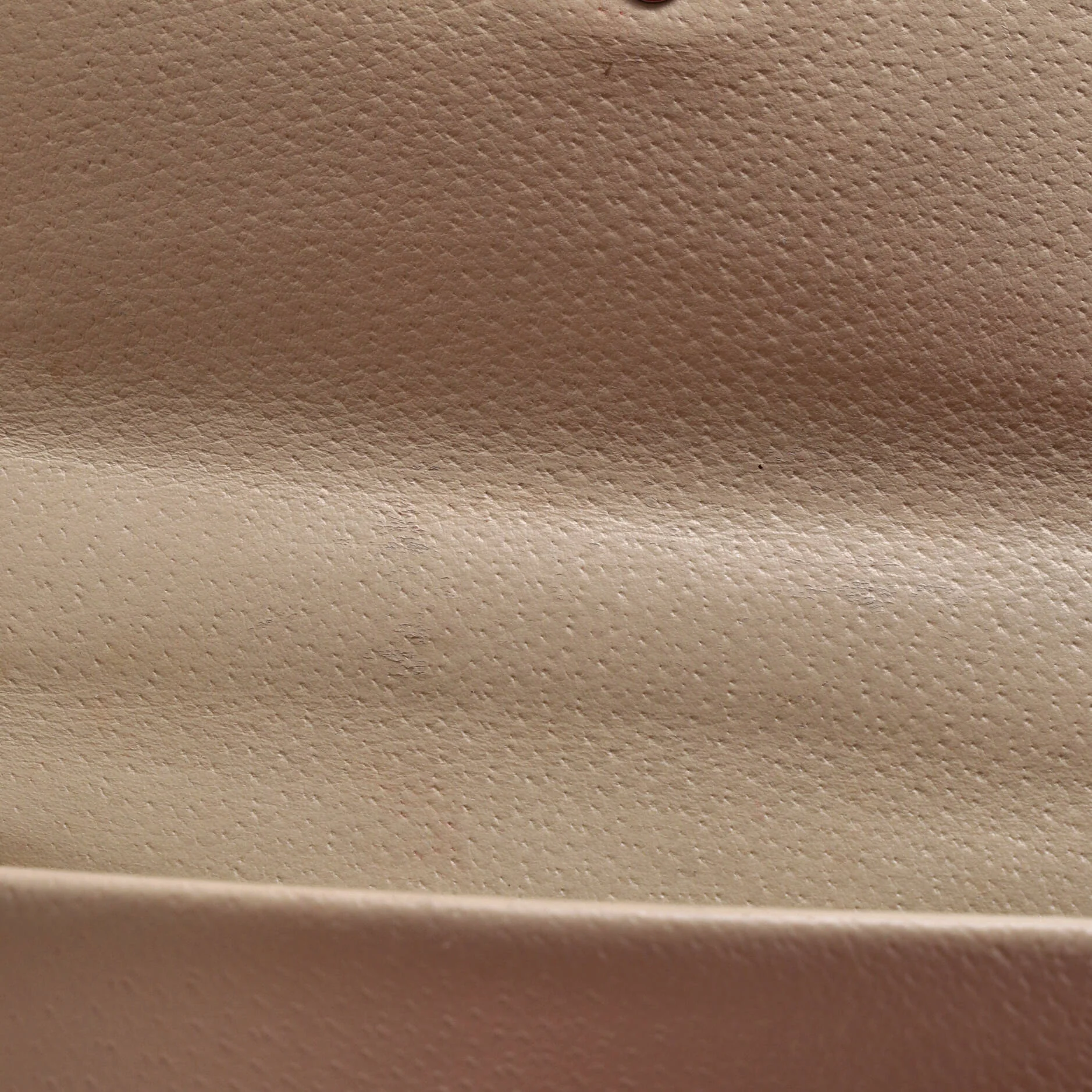 Dionysus Bag Leather Mini - Image 7