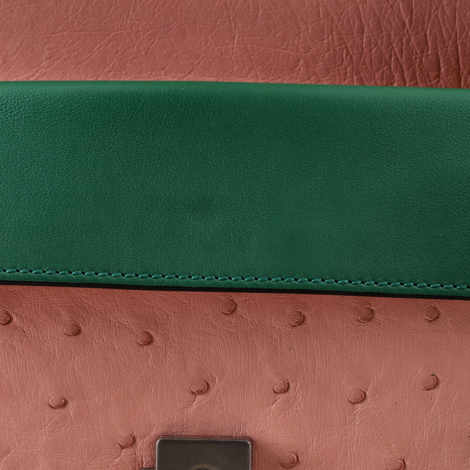 Dionysus Bag Python with Ostrich and Leather Small - Image 6
