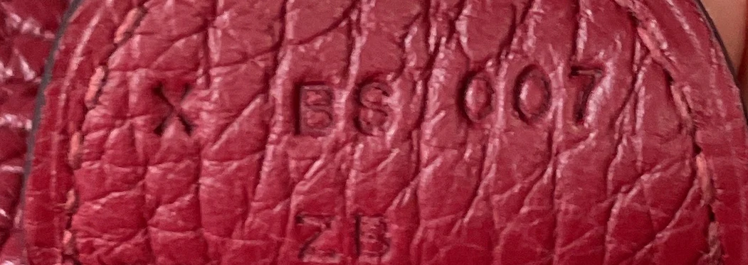 Evelyne Bag Gen III Clemence PM - Image 7