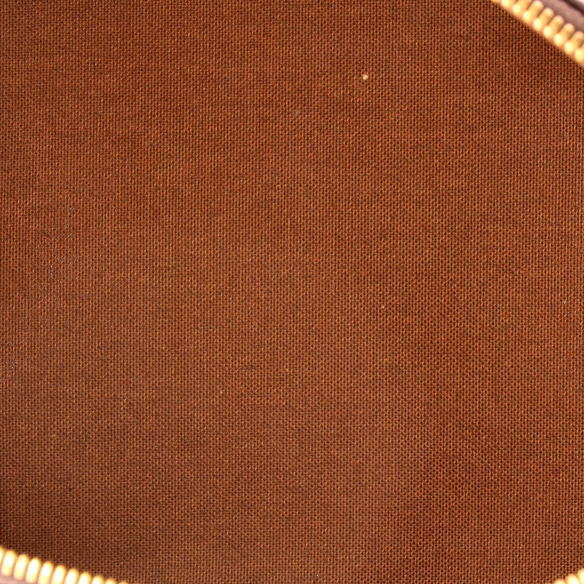 Alma Handbag Monogram Canvas PM - Image 5
