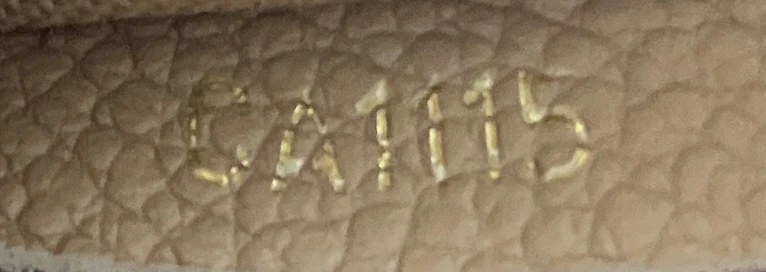 Bagatelle Hobo Monogram Empreinte Leather - Image 8