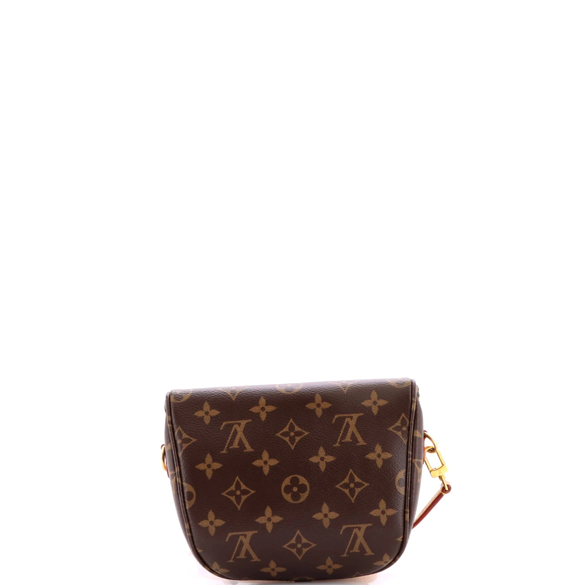 Bum Bag Monogram Canvas Mini - Image 3