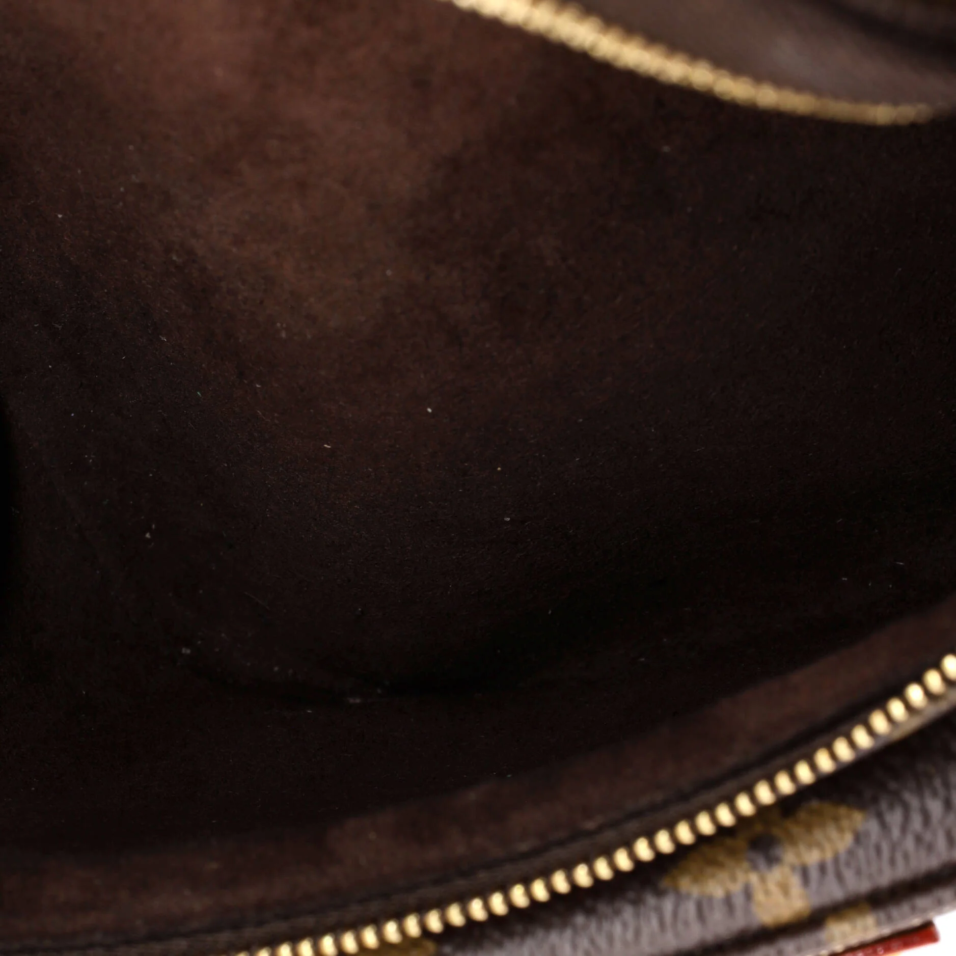 Bum Bag Monogram Canvas Mini - Image 5