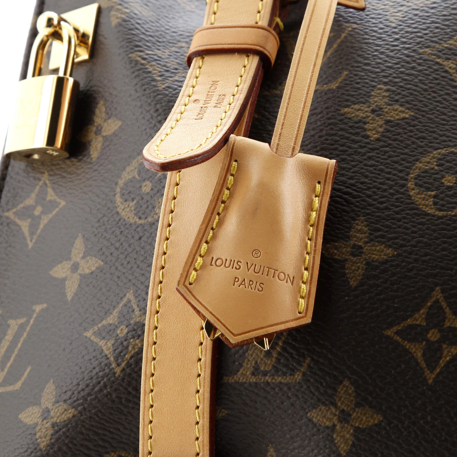 Carrousel Tote Monogram Canvas - Image 7