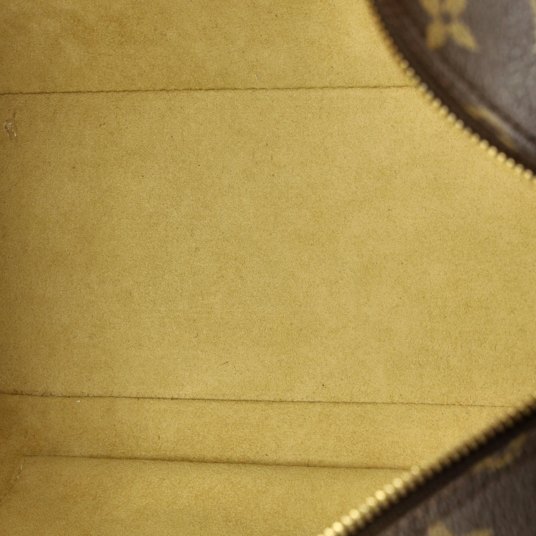 Cite Handbag Monogram Canvas GM - Image 5