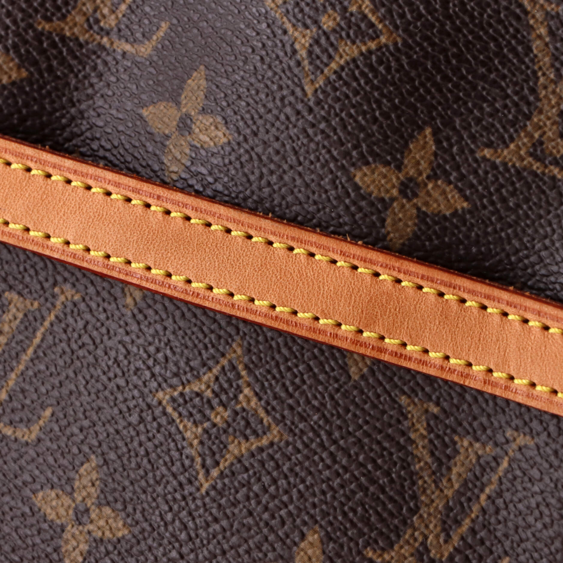 Danube Handbag Monogram Canvas - Image 6