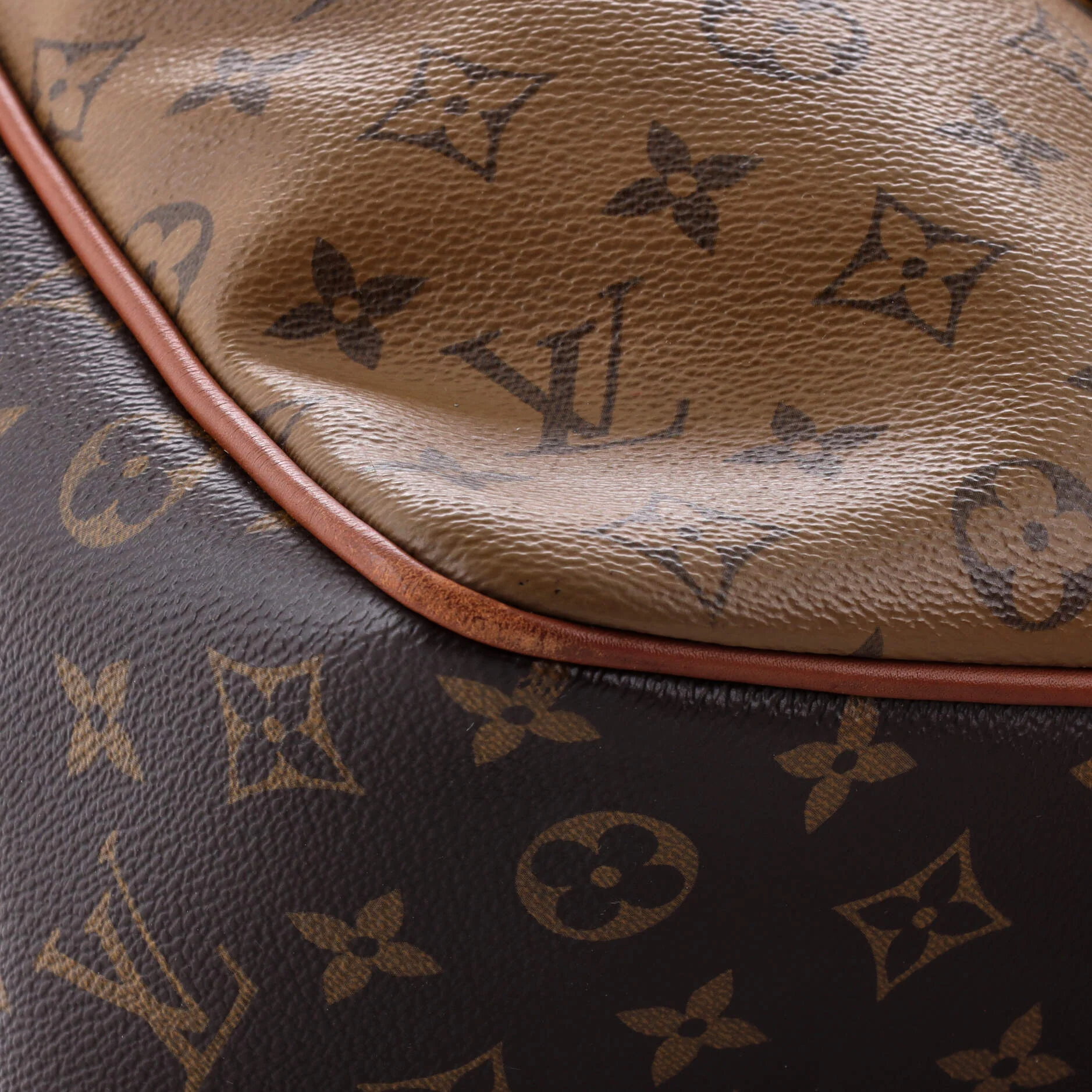 Dauphine Hobo Reverse Monogram Canvas MM - Image 7