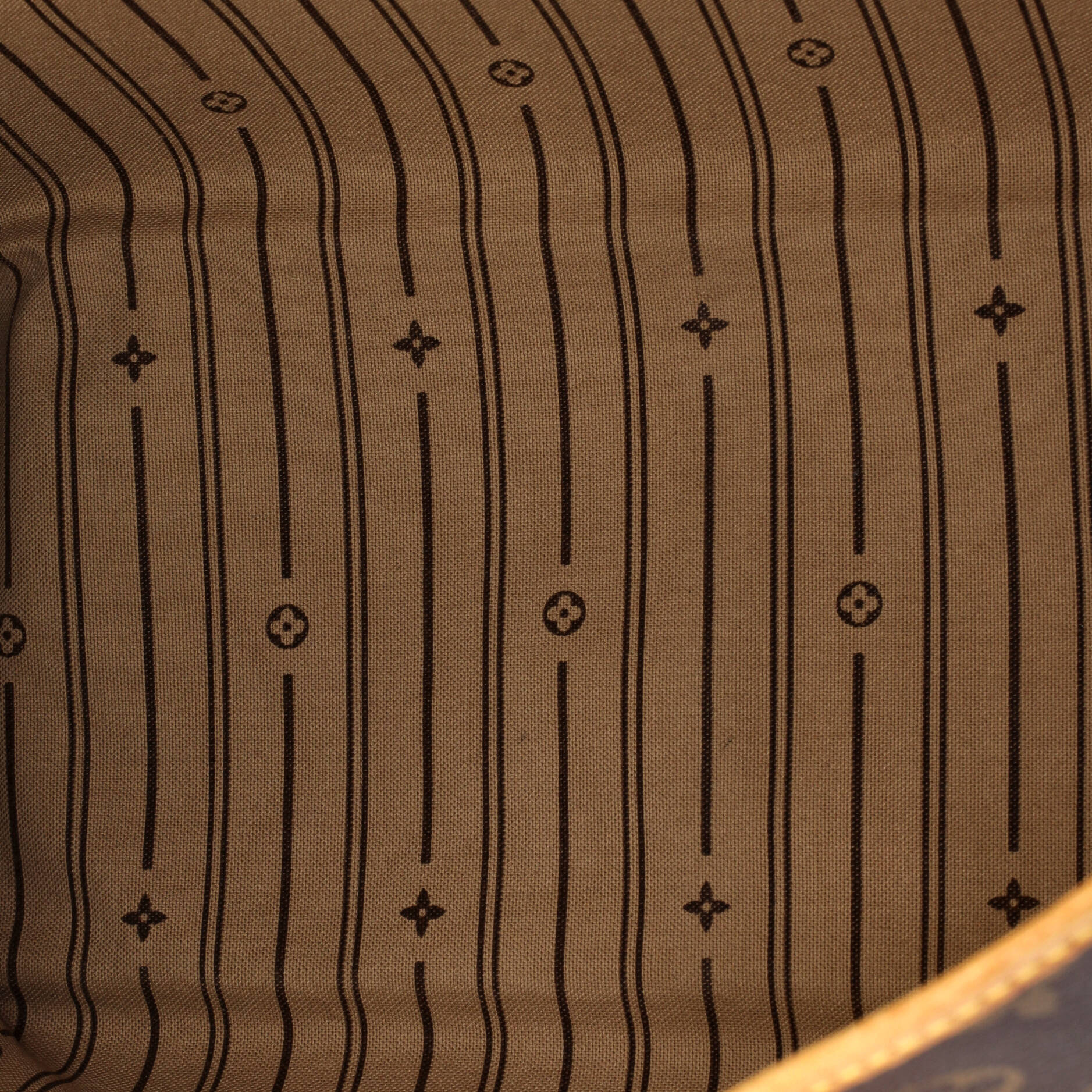 Delightful Handbag Monogram Canvas PM - Image 5