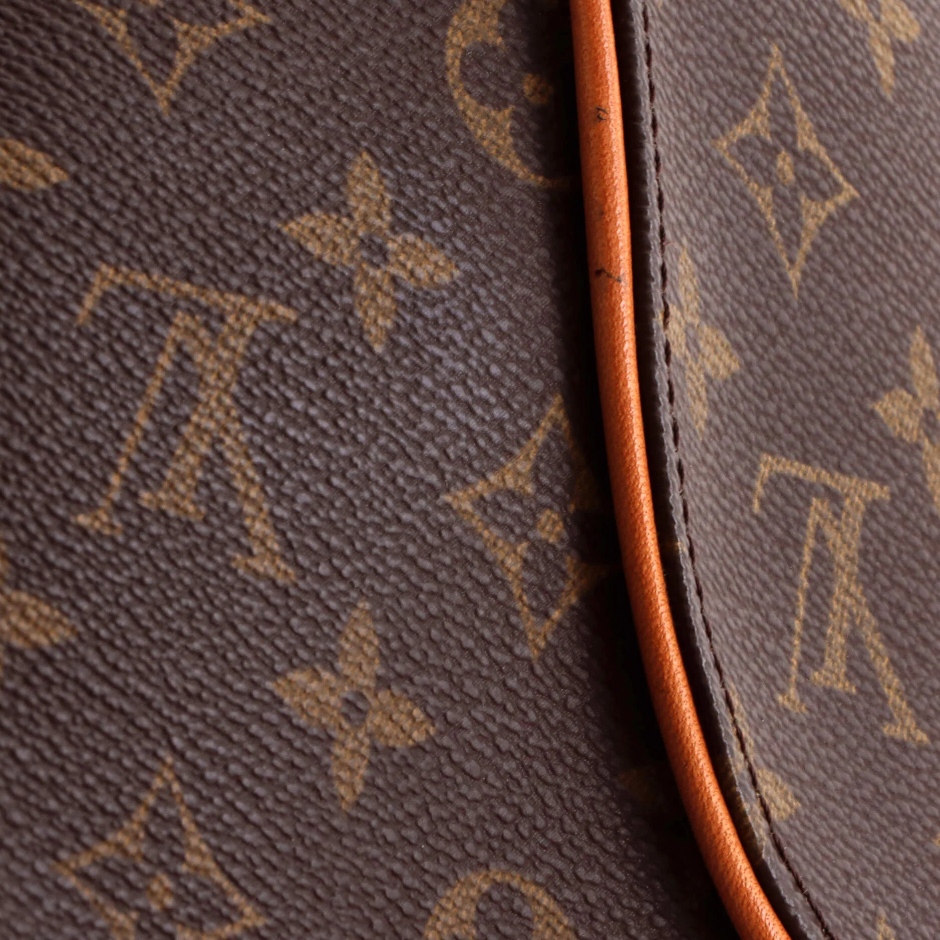 Ellipse Bag Monogram Canvas PM - Image 7