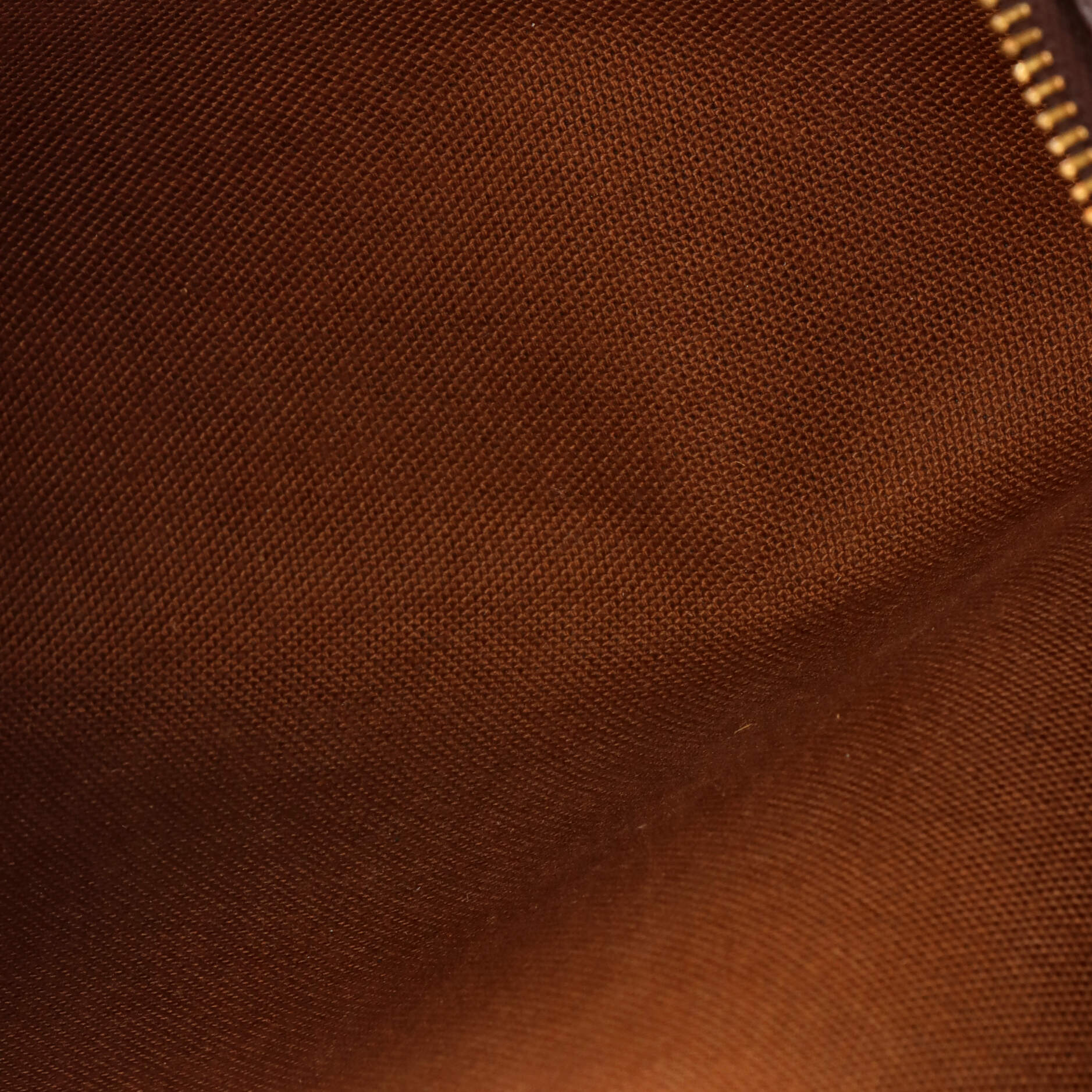 Eva Handbag Monogram Canvas - Image 5