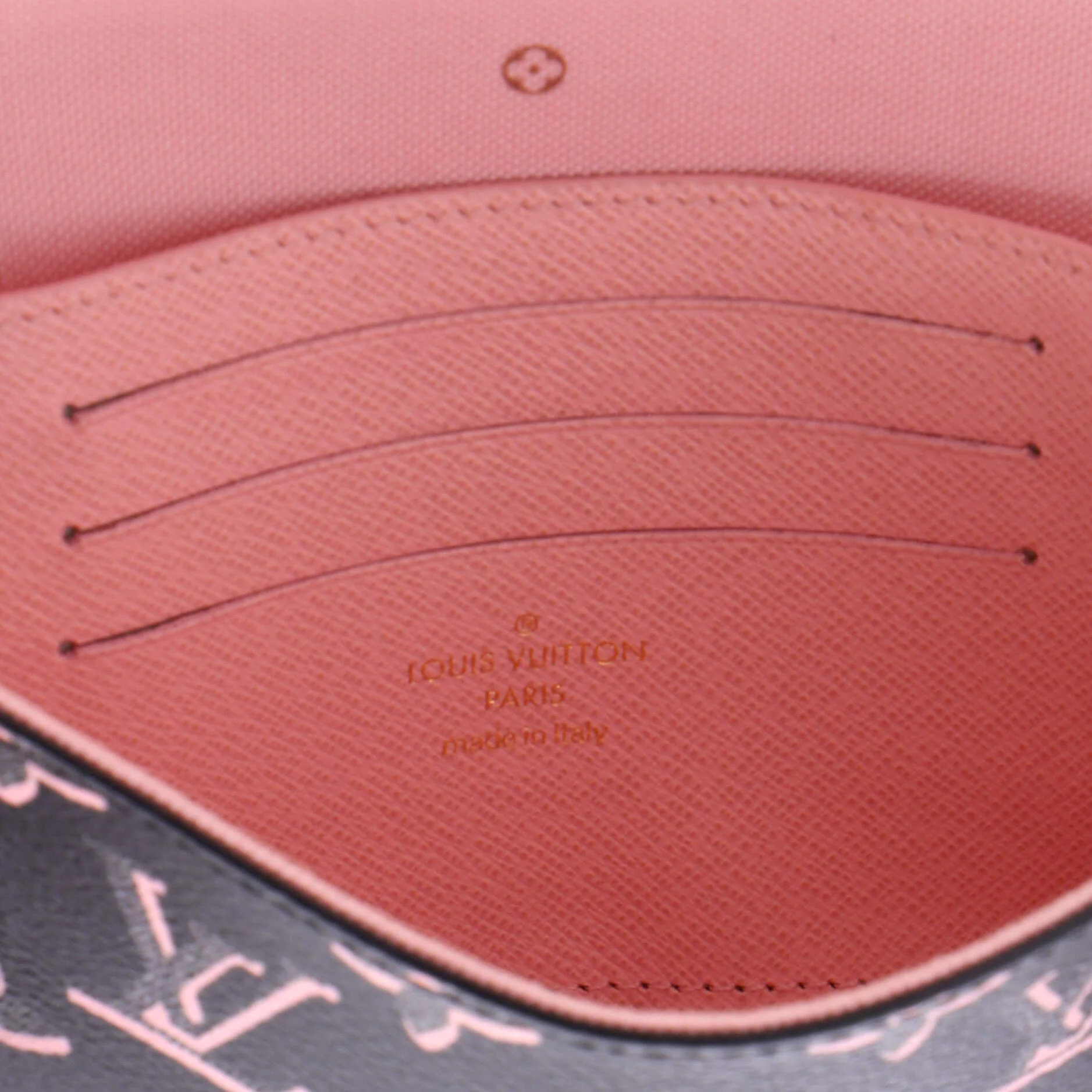 Felicie Strap & Go Handbag Fall for You Monogram Canvas - Image 7