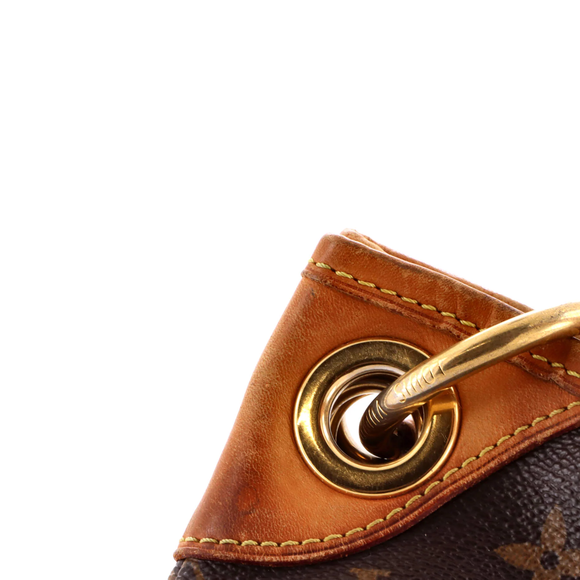 Galliera Handbag Monogram Canvas PM - Image 6