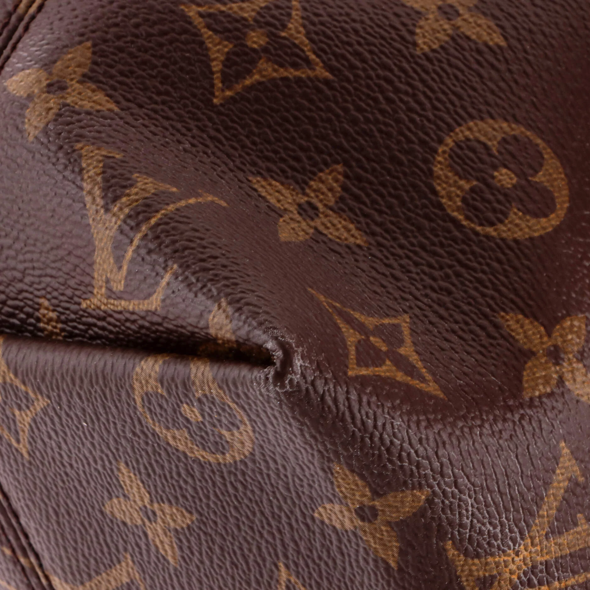 Iena Tote Monogram Canvas PM - Image 7