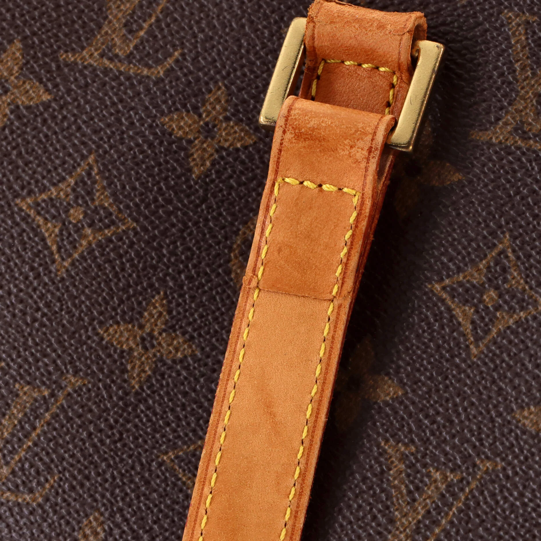 Luco Handbag Monogram Canvas - Image 6