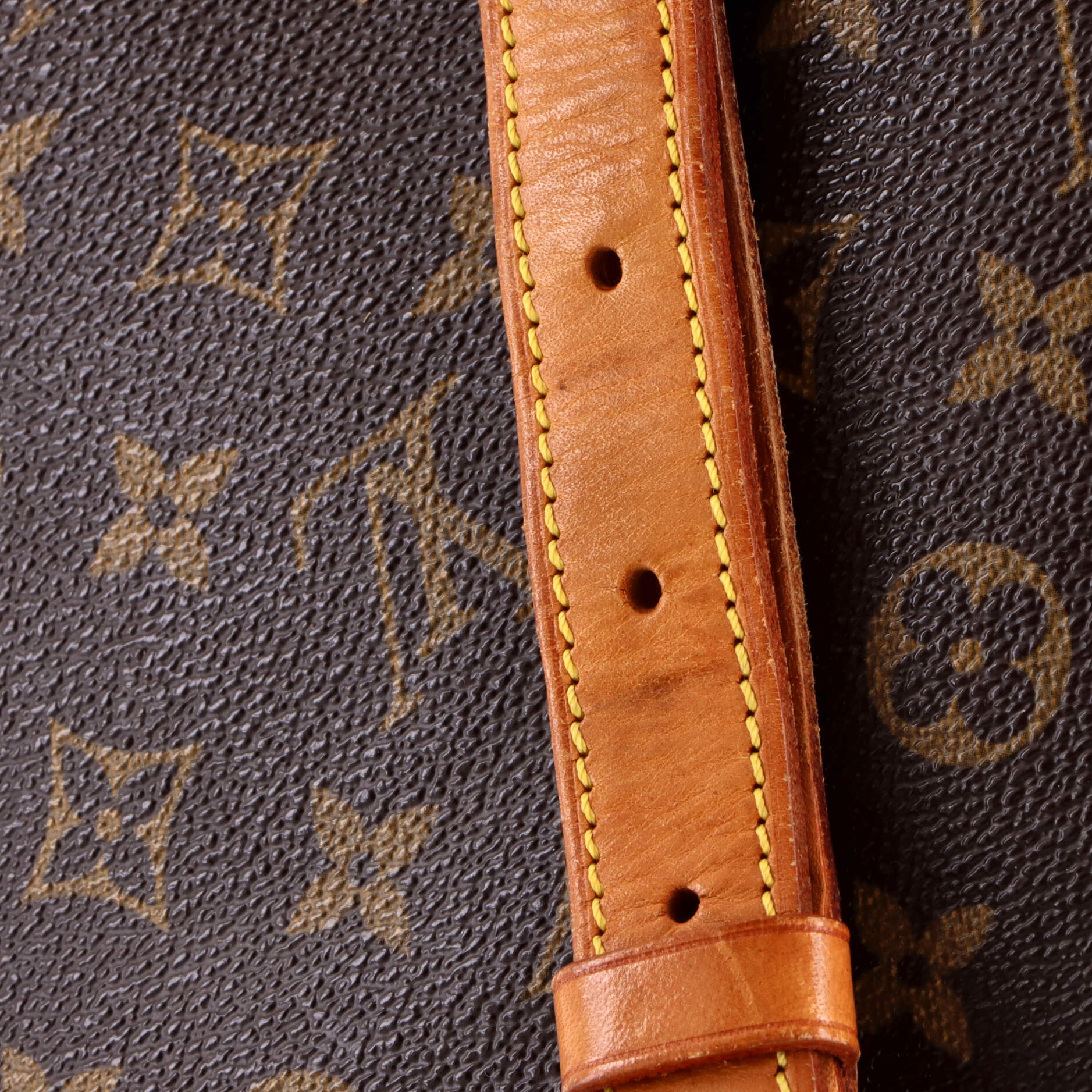 Musette Salsa Handbag Monogram Canvas GM - Image 8